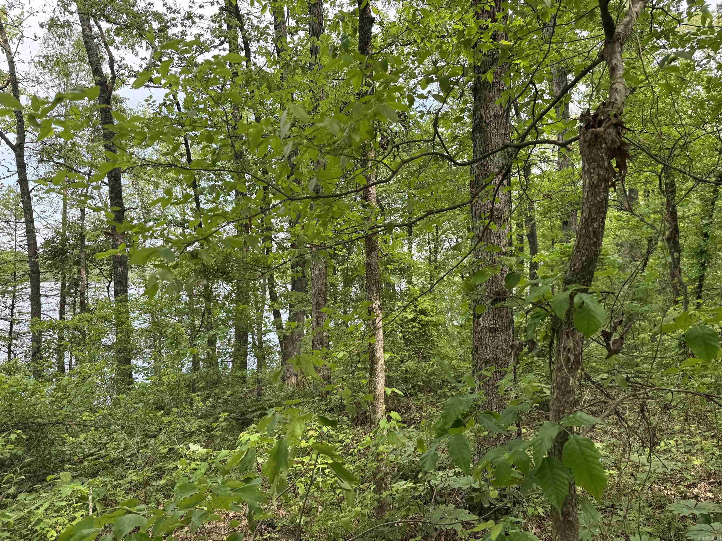 Tract 1 East Bay Road  Atkins, AR