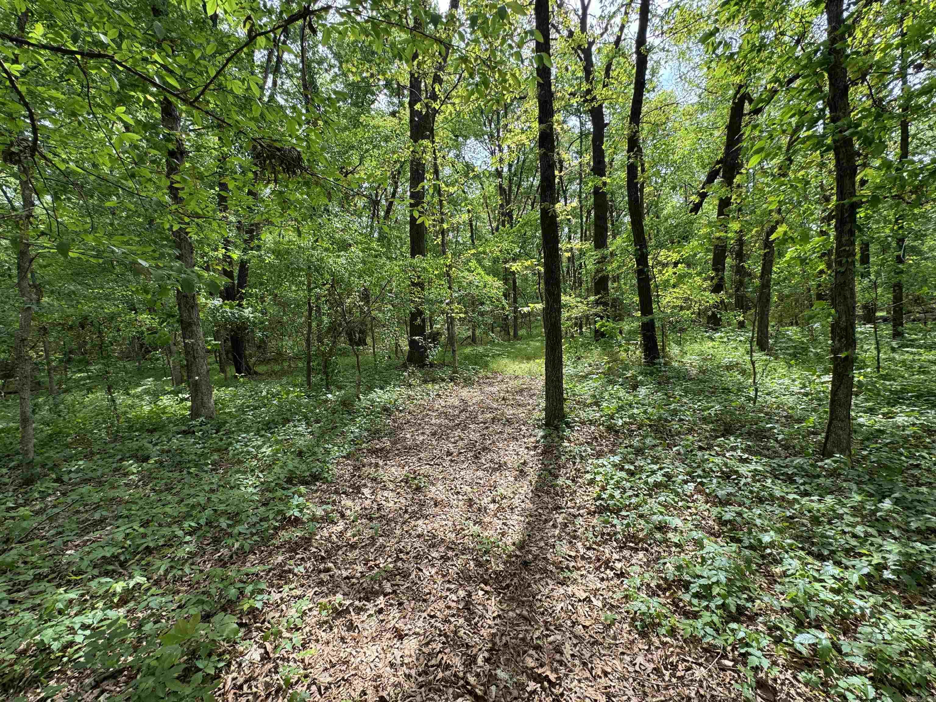 Tract 1 East Bay Road  Atkins, AR