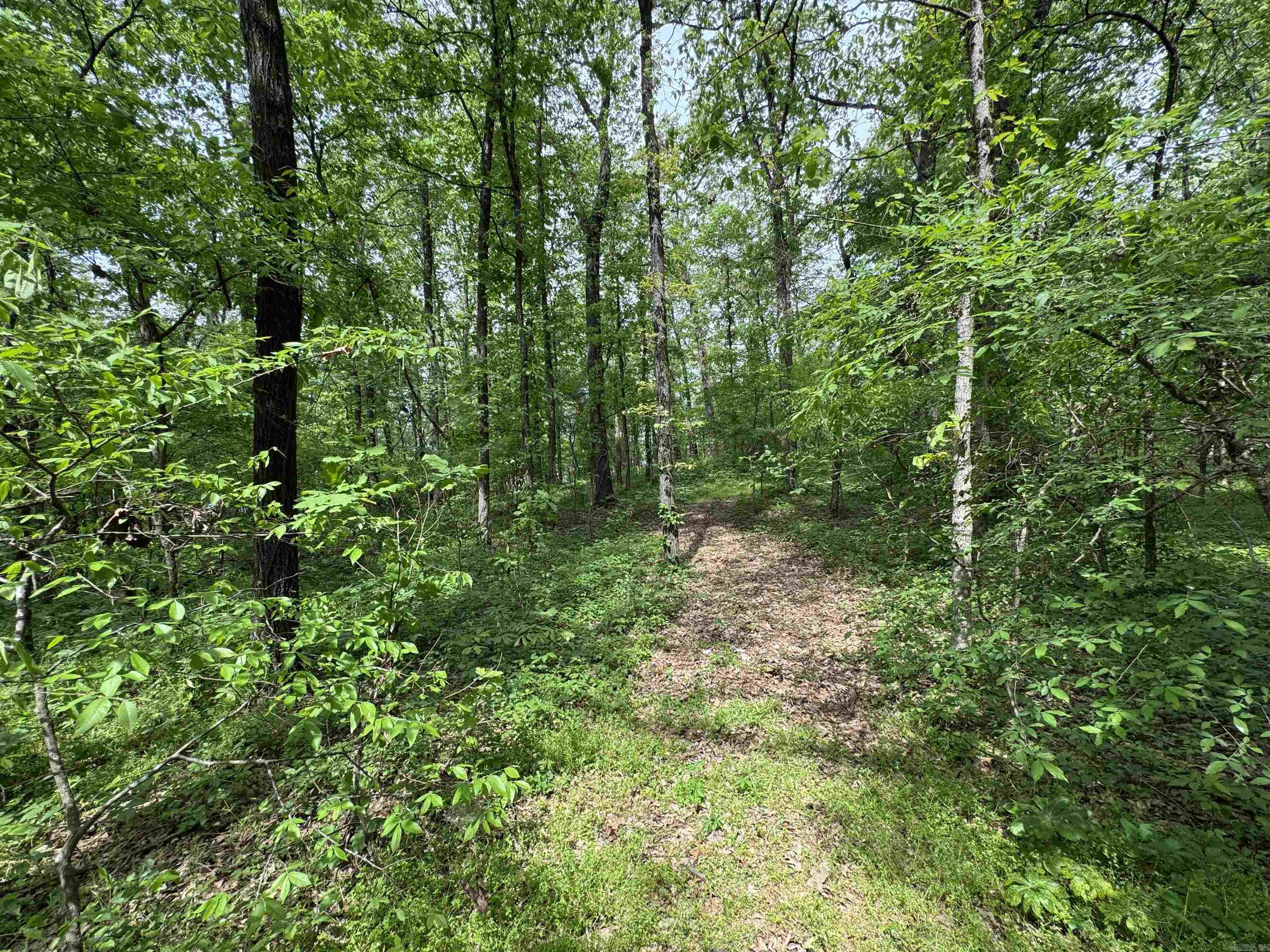 Tract 1 East Bay Road  Atkins, AR