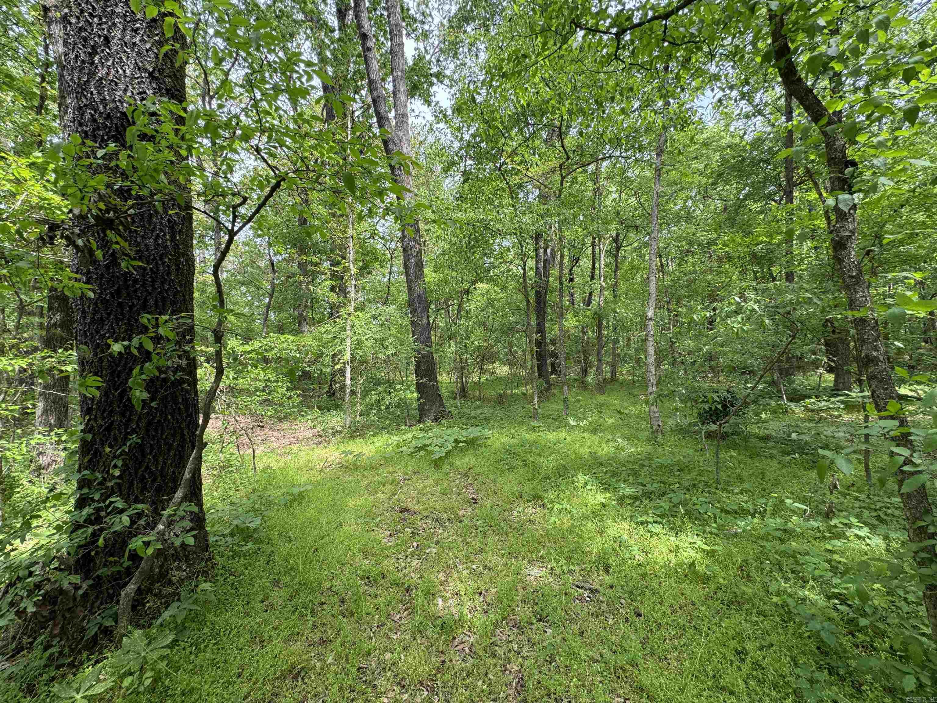 Tract 1 East Bay Road  Atkins, AR