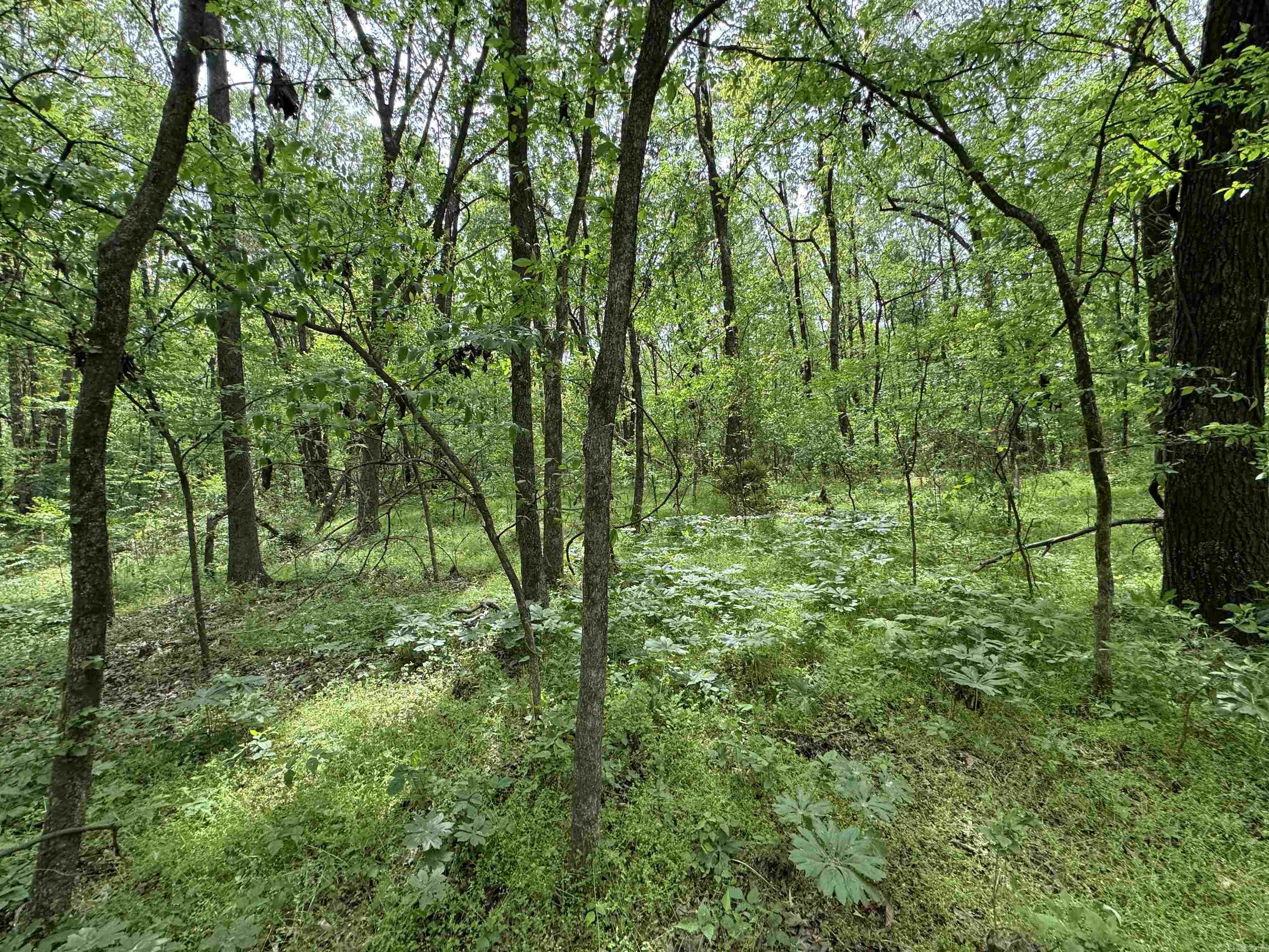 Tract 1 East Bay Road  Atkins, AR
