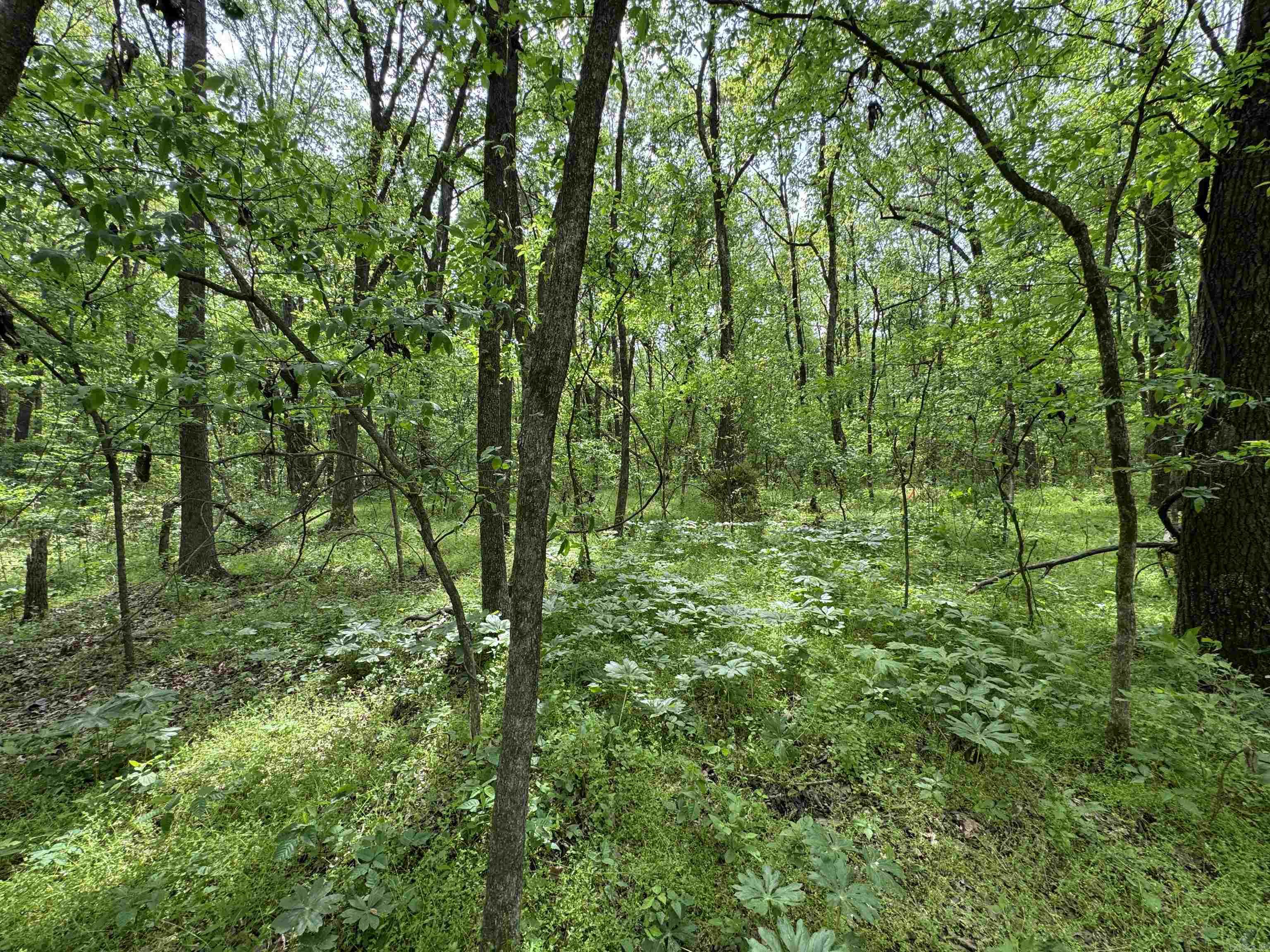 Tract 1 East Bay Road  Atkins, AR