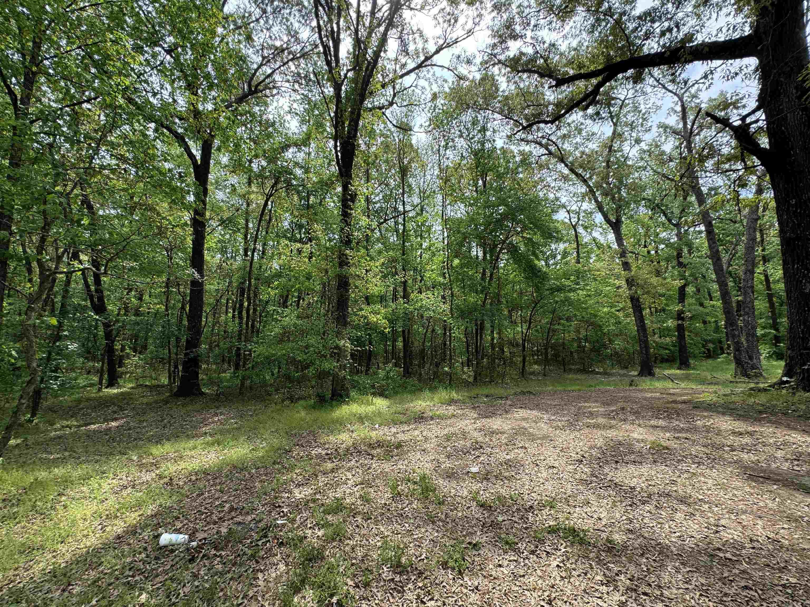 Tract 1 East Bay Road  Atkins, AR