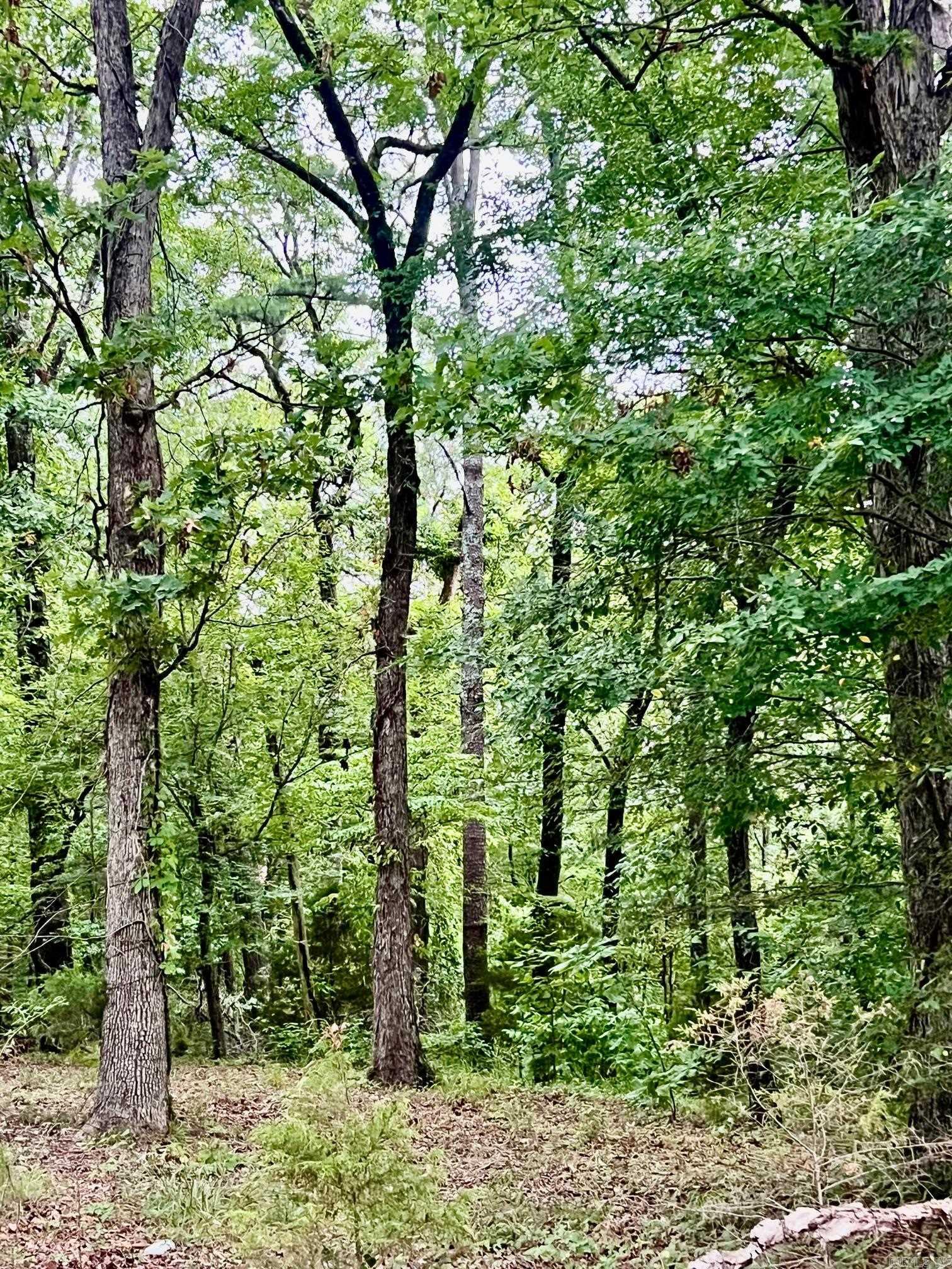 3348 Hwy 71 S  Mena, AR