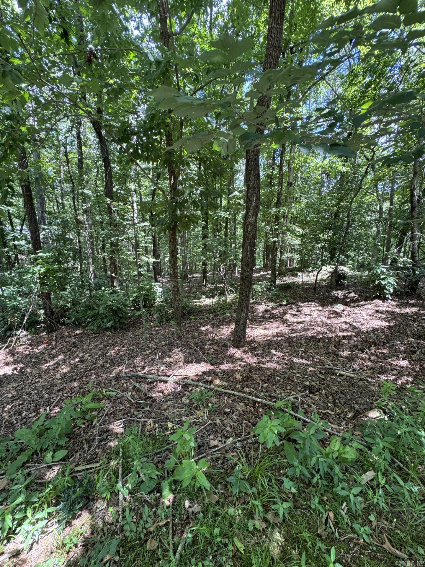 49 La Granja Circle  Hot Springs Village, AR
