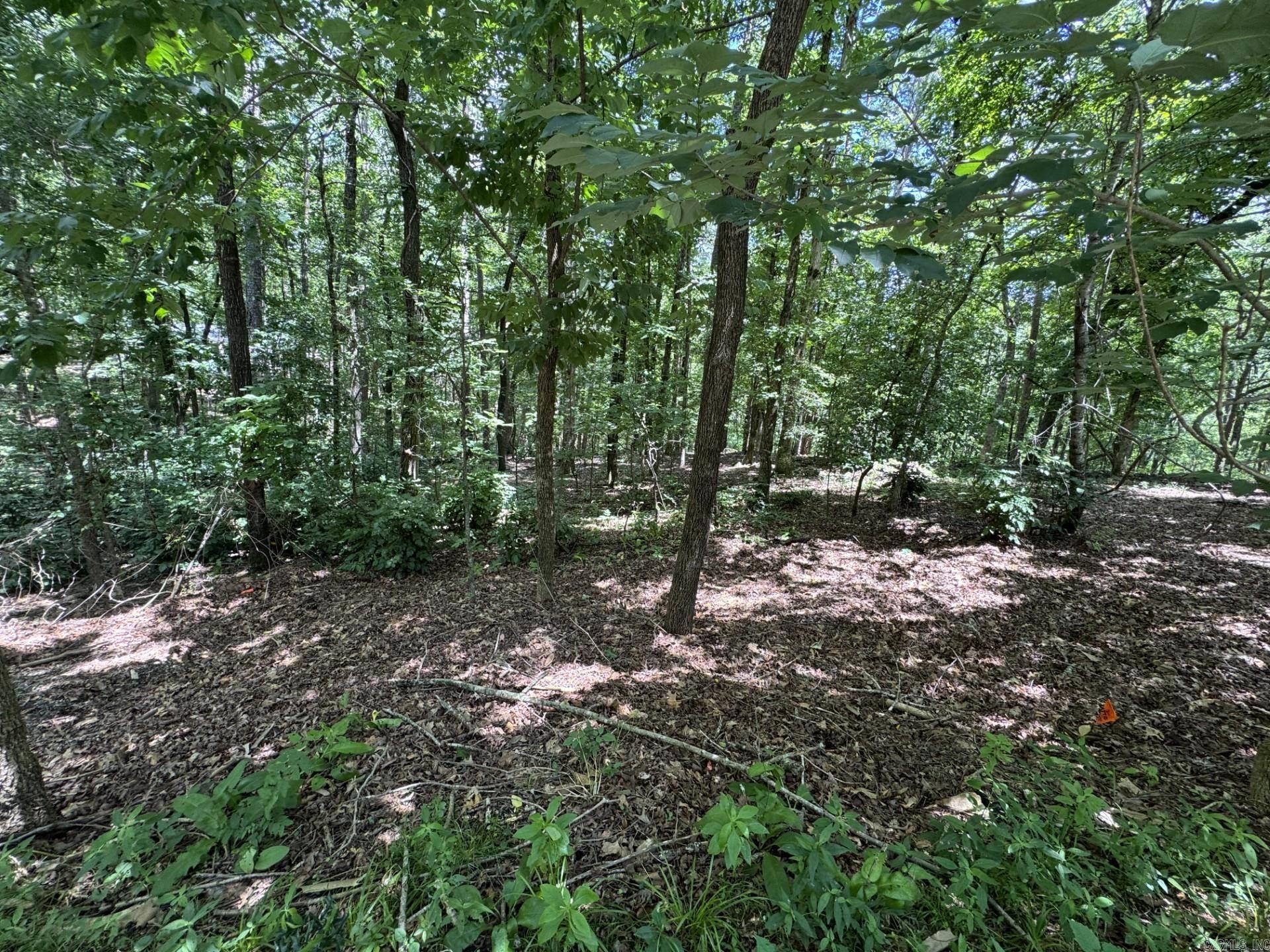 49 La Granja Circle  Hot Springs Village, AR
