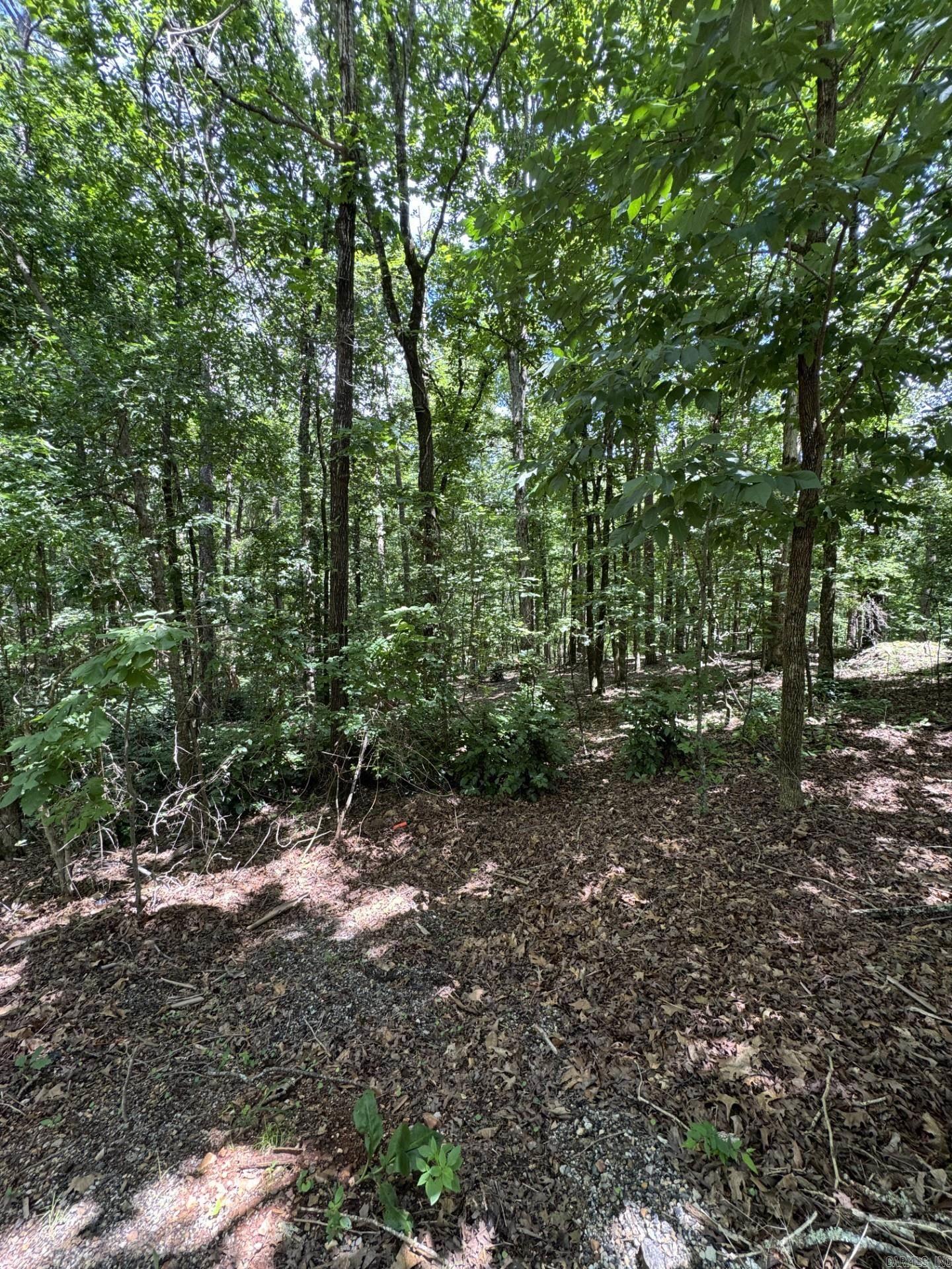 49 La Granja Circle  Hot Springs Village, AR