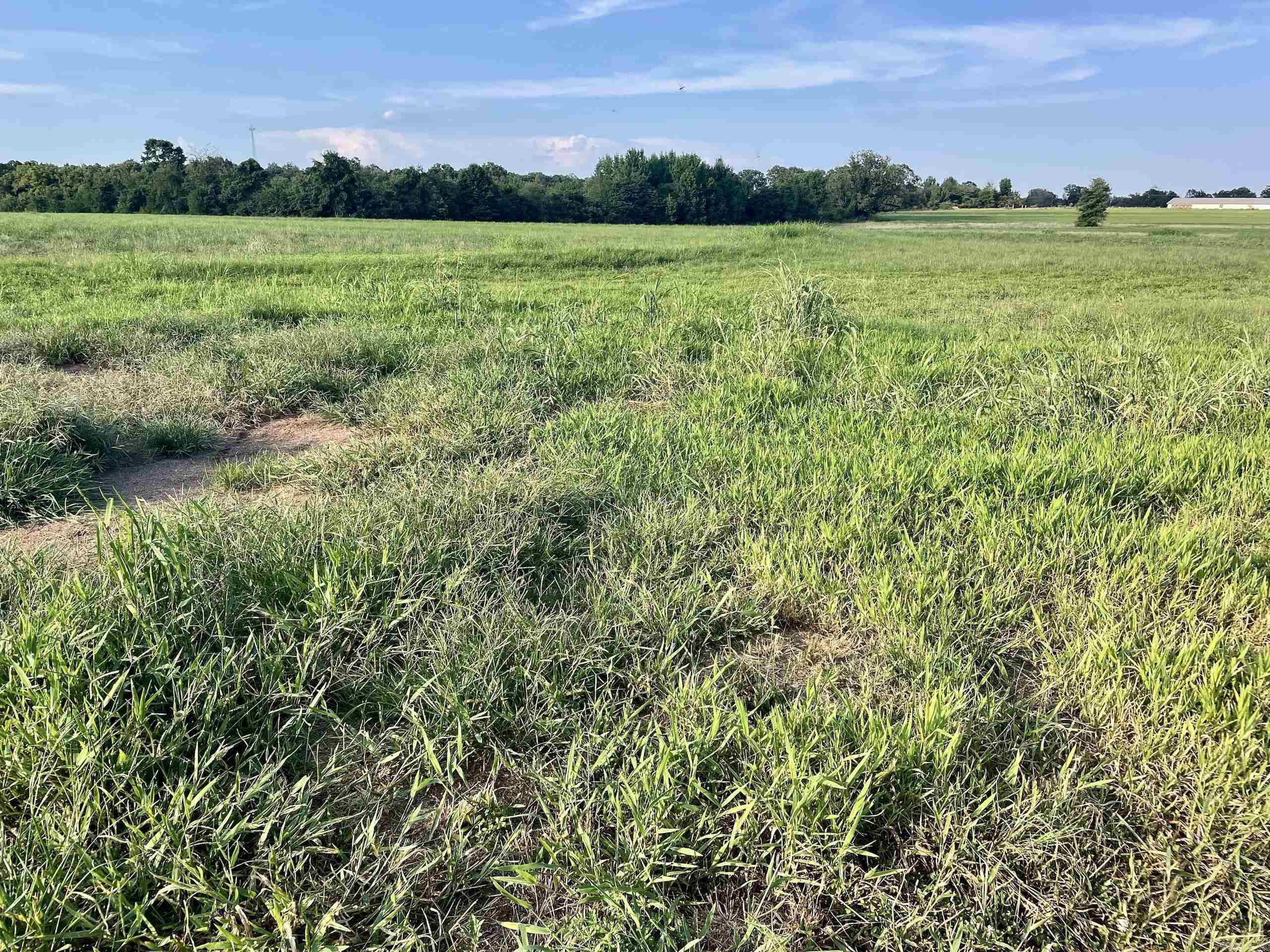 240 Oak Grove Rd  Concord, AR