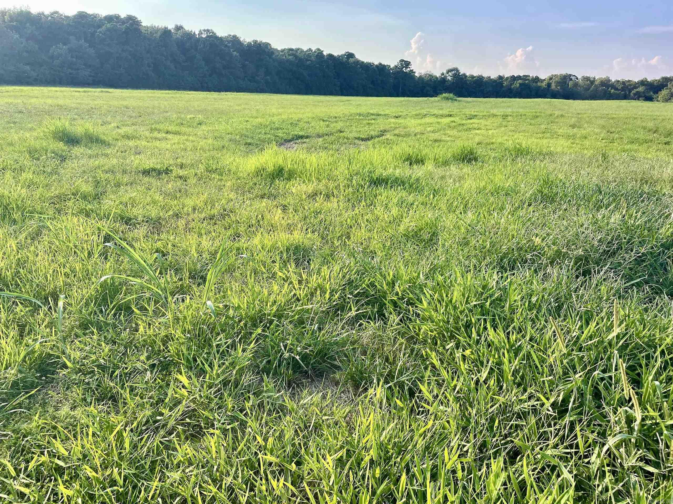 240 Oak Grove Rd  Concord, AR