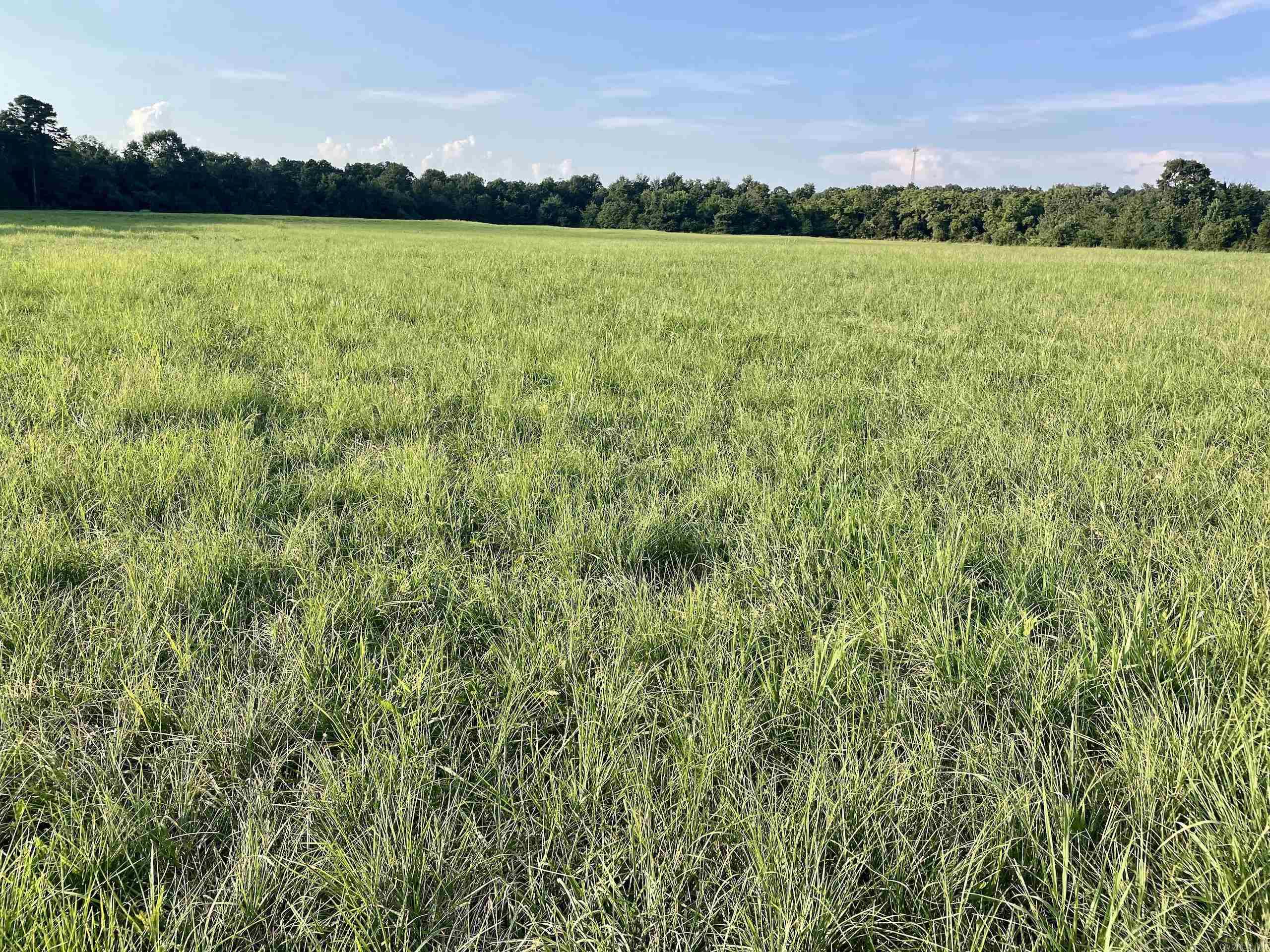 240 Oak Grove Rd  Concord, AR