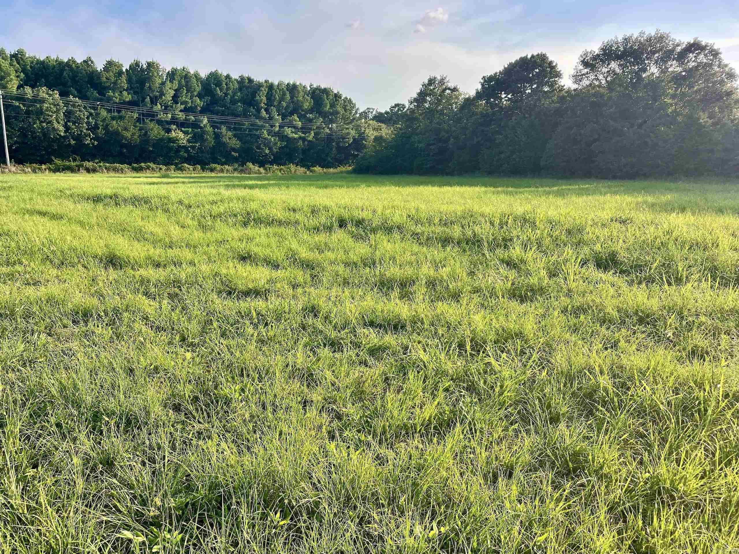 240 Oak Grove Rd  Concord, AR