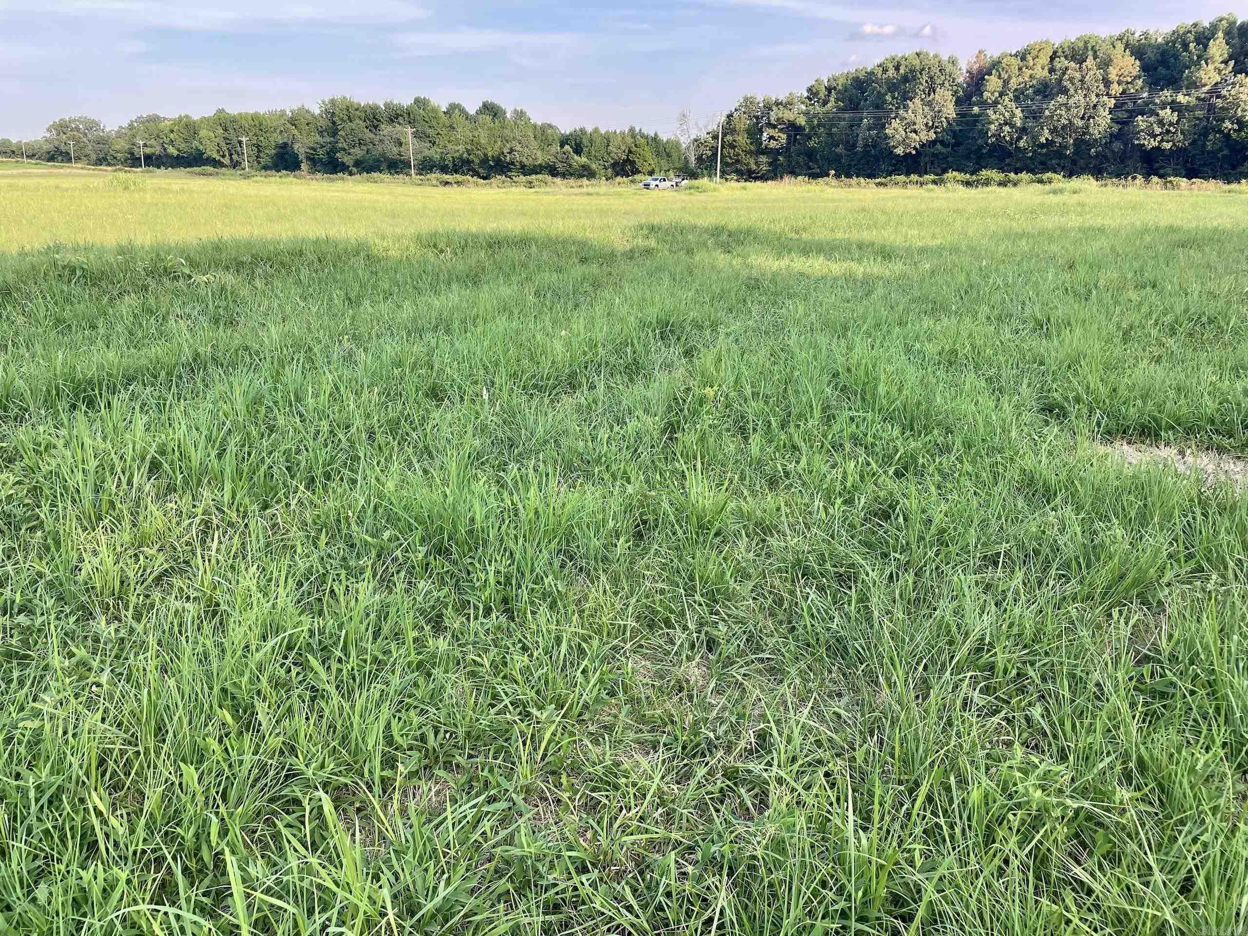 240 Oak Grove Rd  Concord, AR