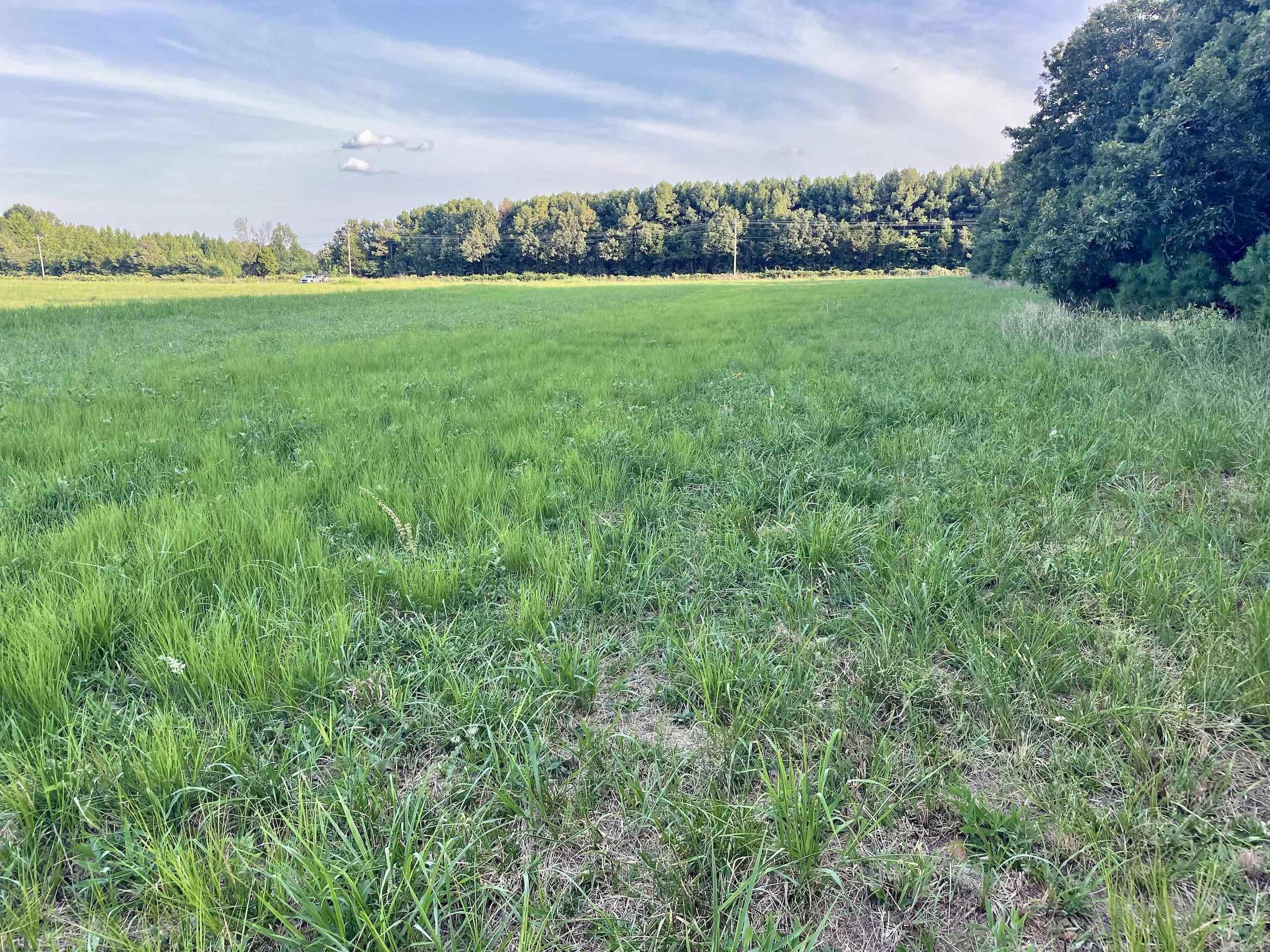 240 Oak Grove Rd  Concord, AR