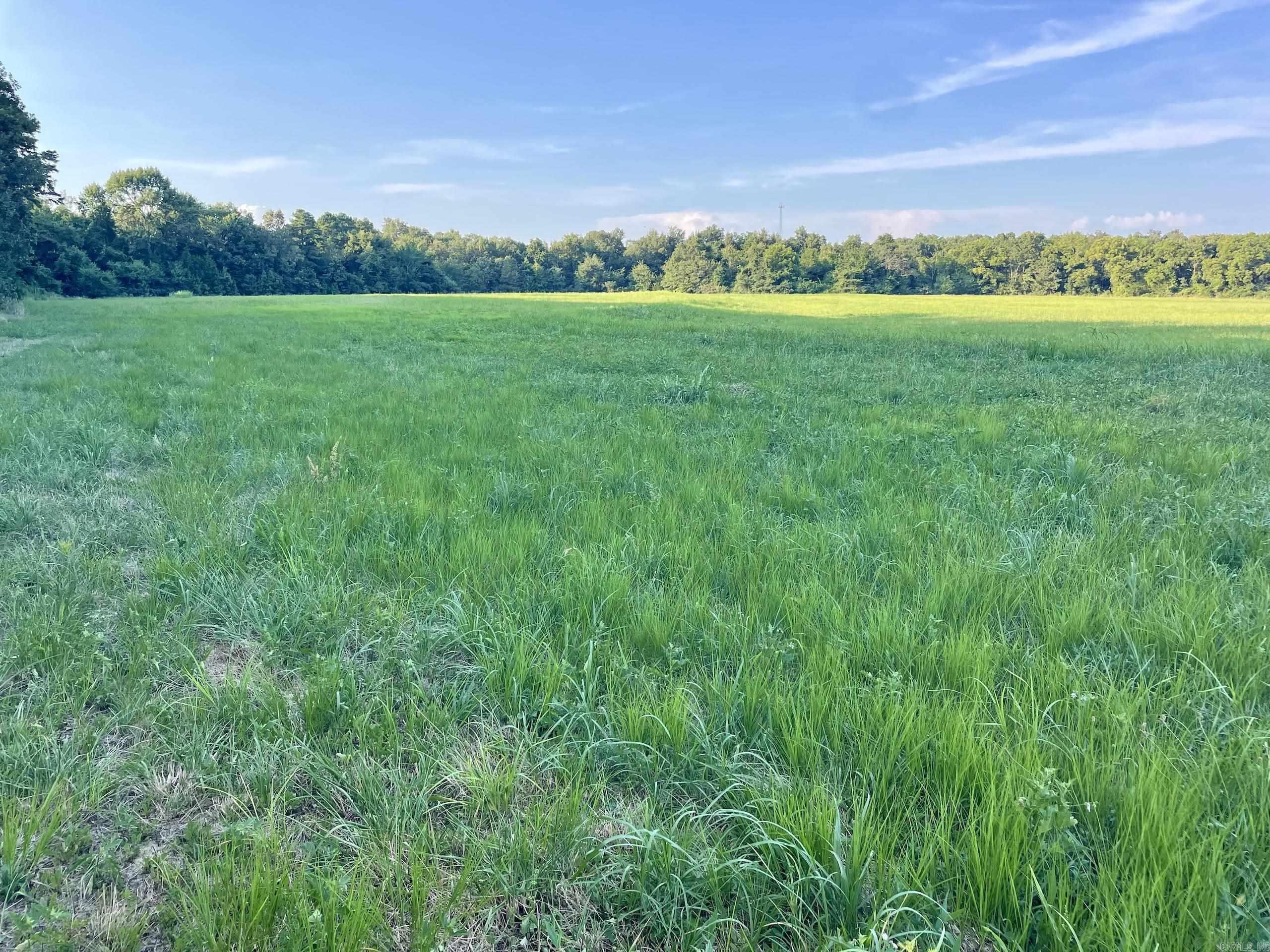 240 Oak Grove Rd  Concord, AR