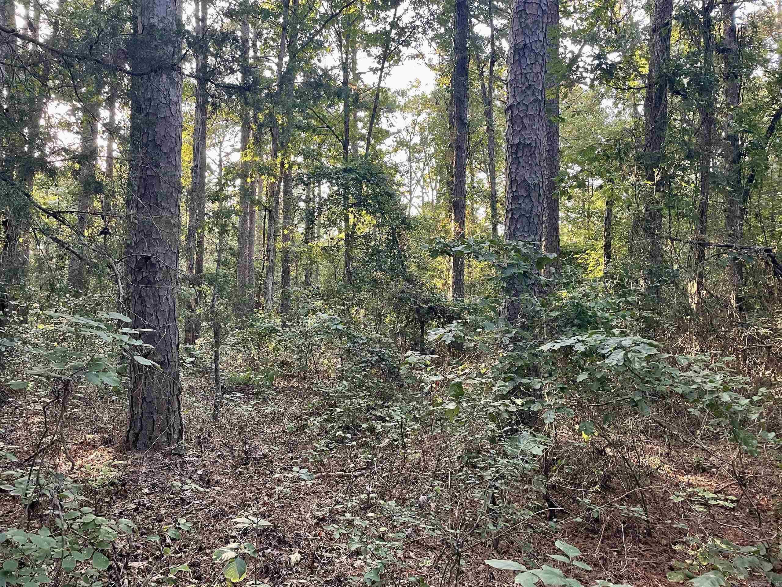 240 Oak Grove Rd  Concord, AR