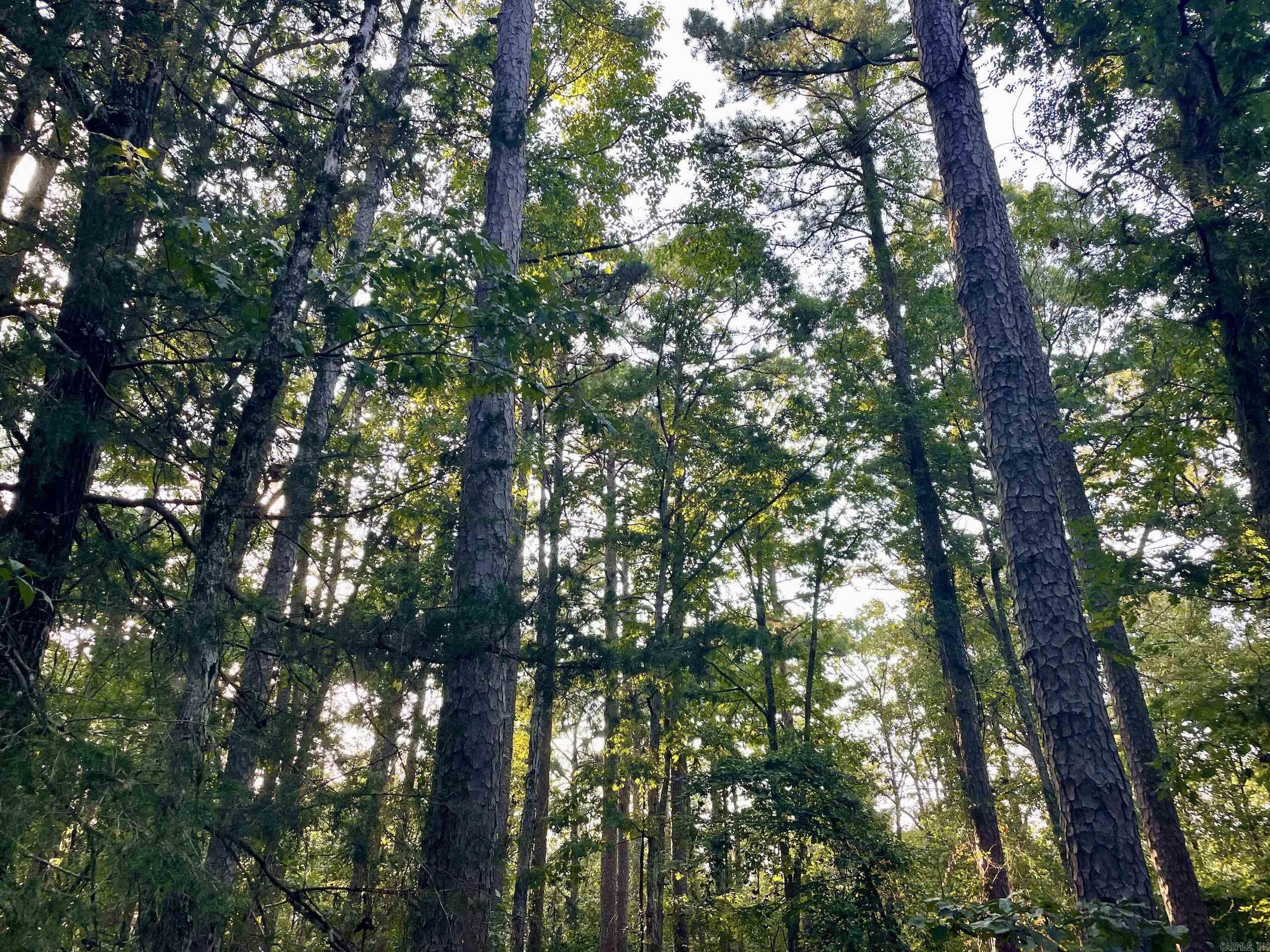 240 Oak Grove Rd  Concord, AR