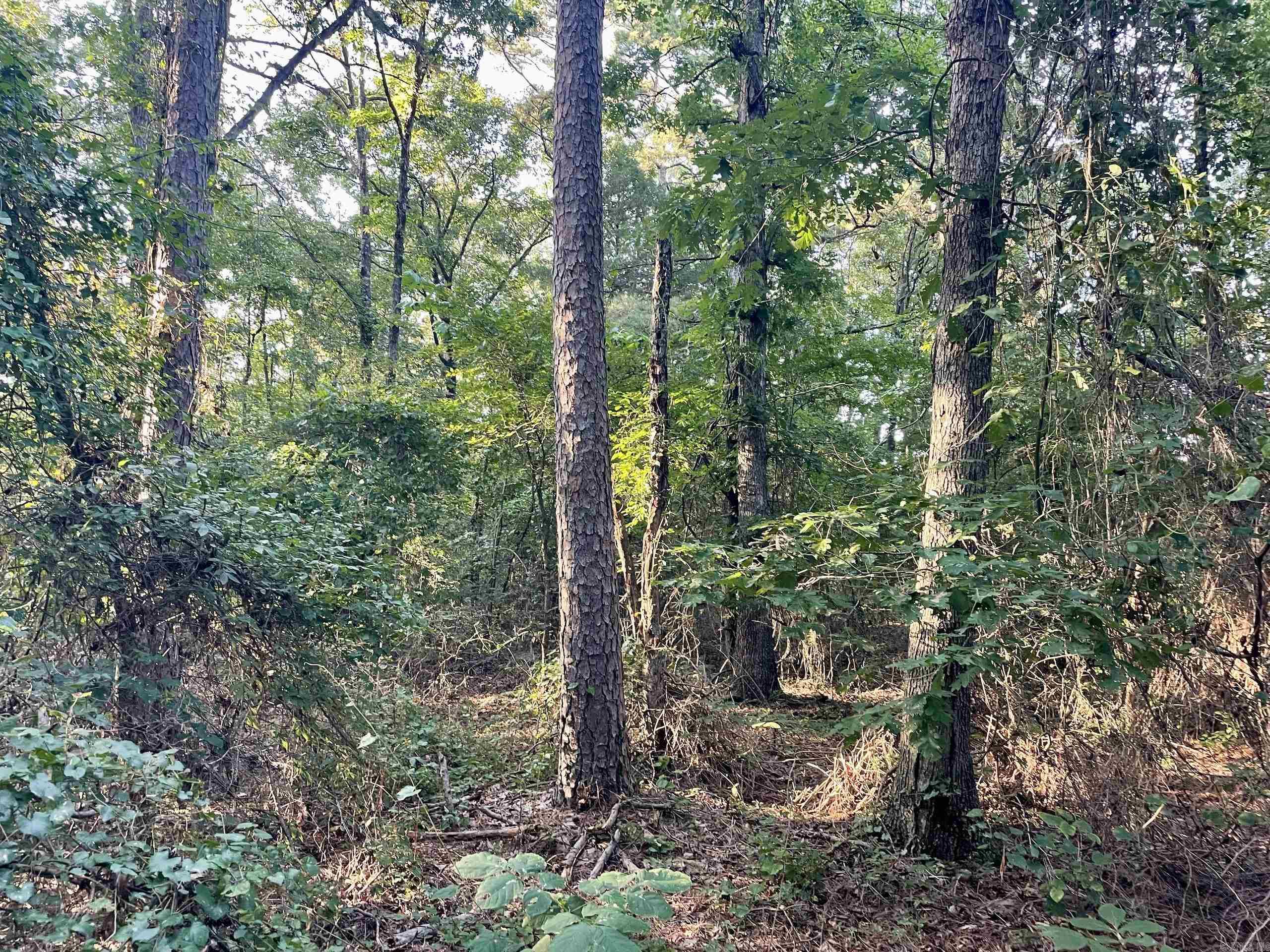 240 Oak Grove Rd  Concord, AR
