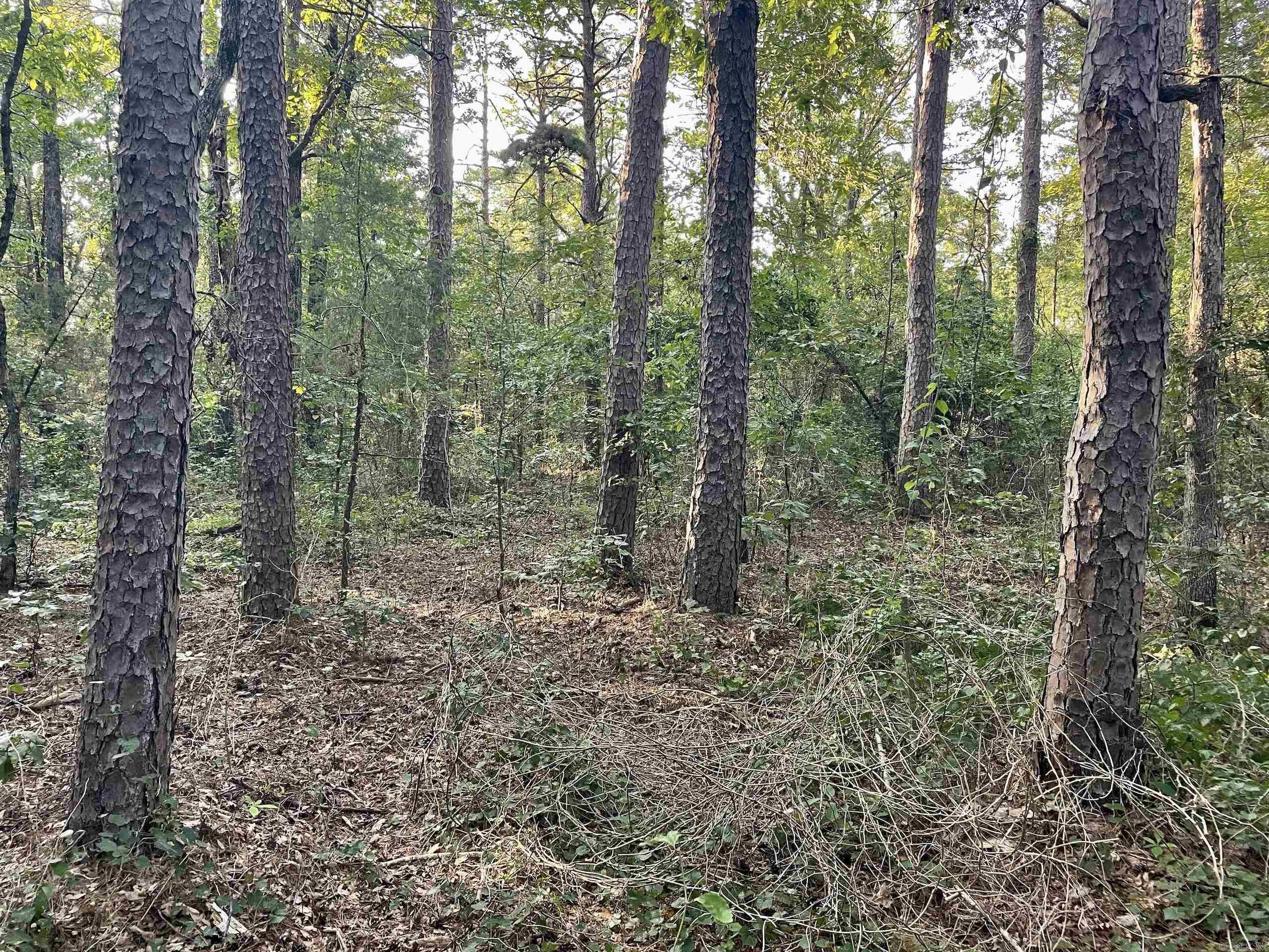 240 Oak Grove Rd  Concord, AR