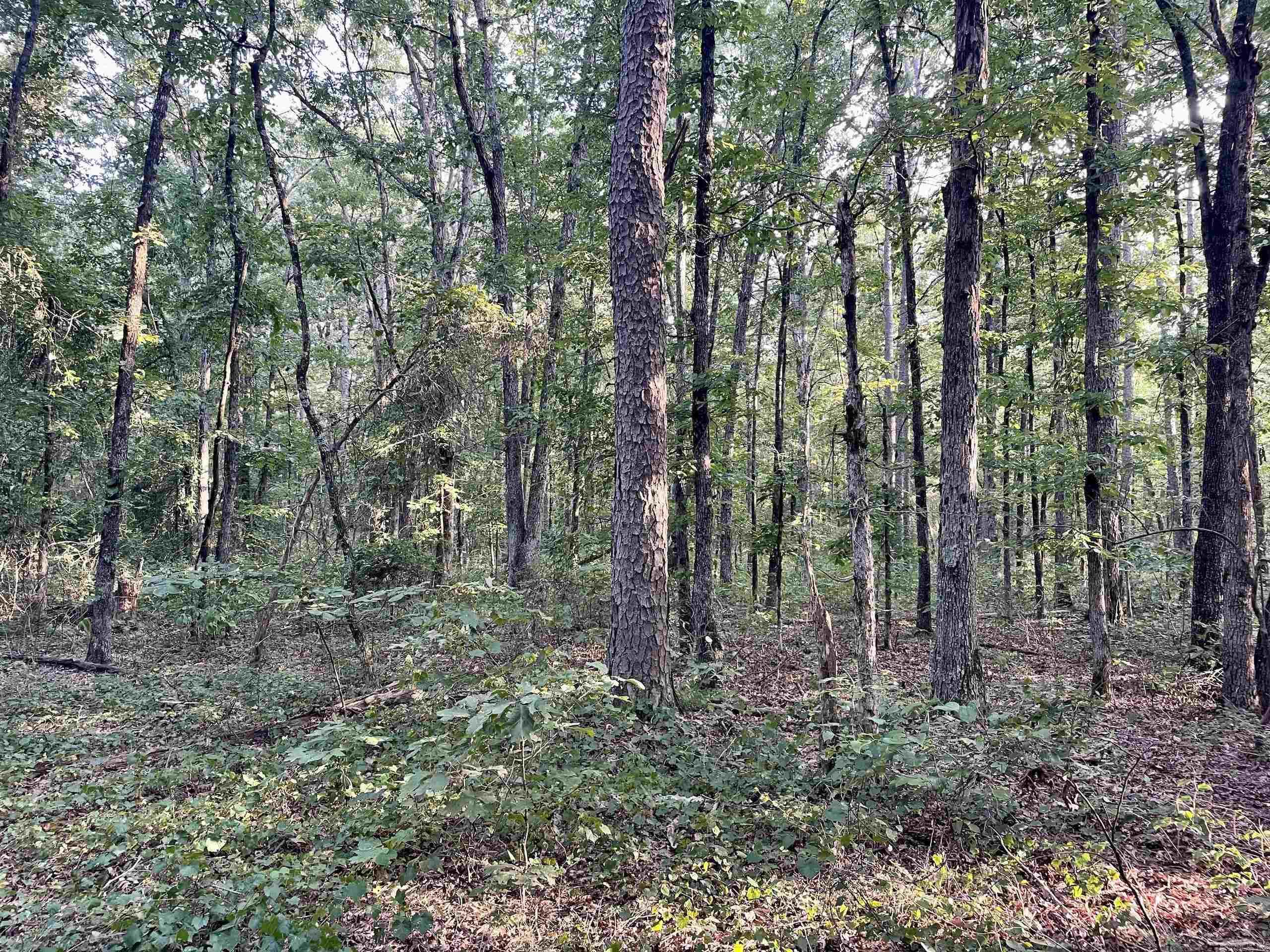 240 Oak Grove Rd  Concord, AR