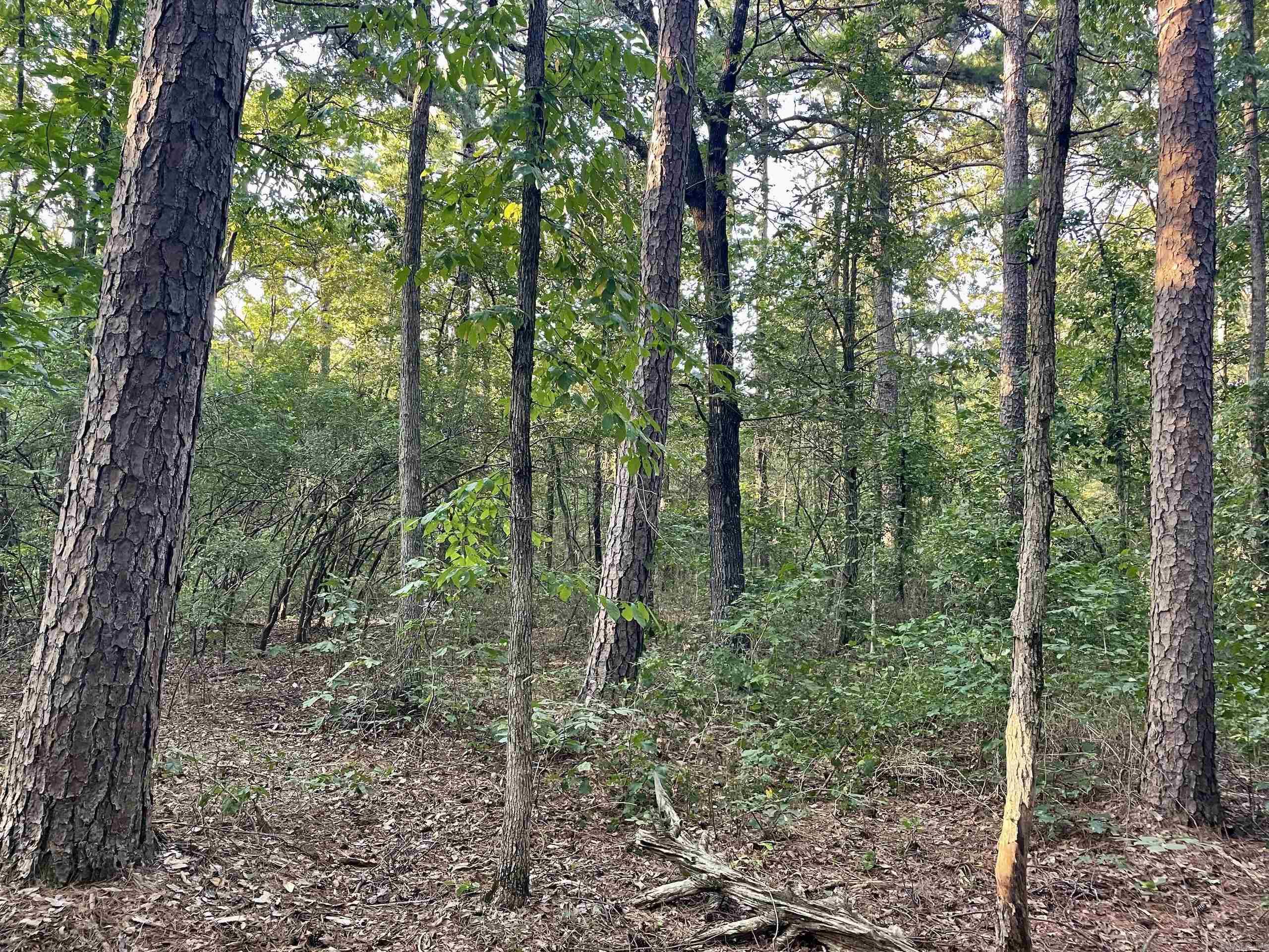 240 Oak Grove Rd  Concord, AR