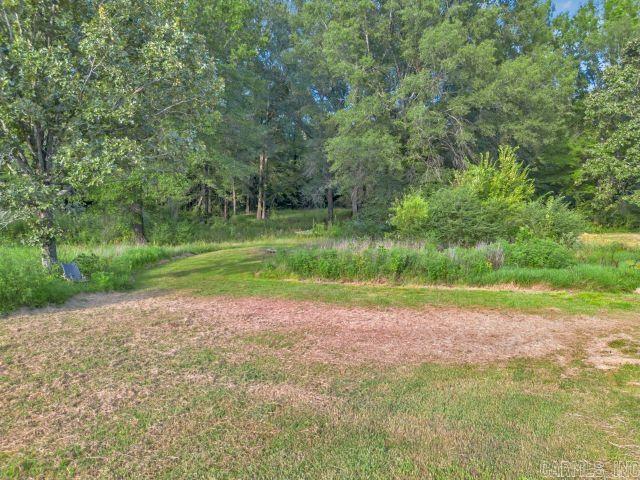 99 Lonoke Rd Morrilton, AR 72110
