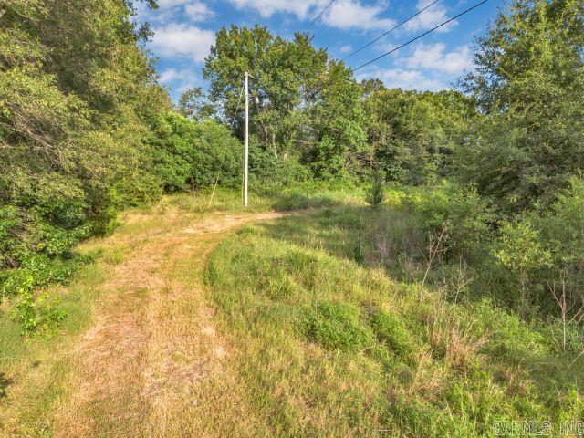 99 Lonoke Rd Morrilton, AR 72110