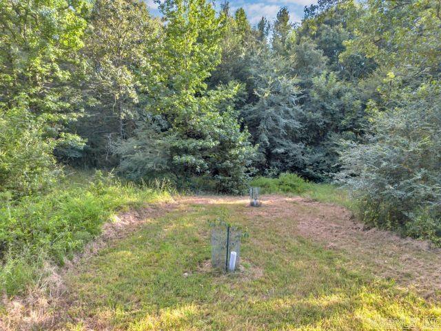 99 Lonoke Rd Morrilton, AR 72110