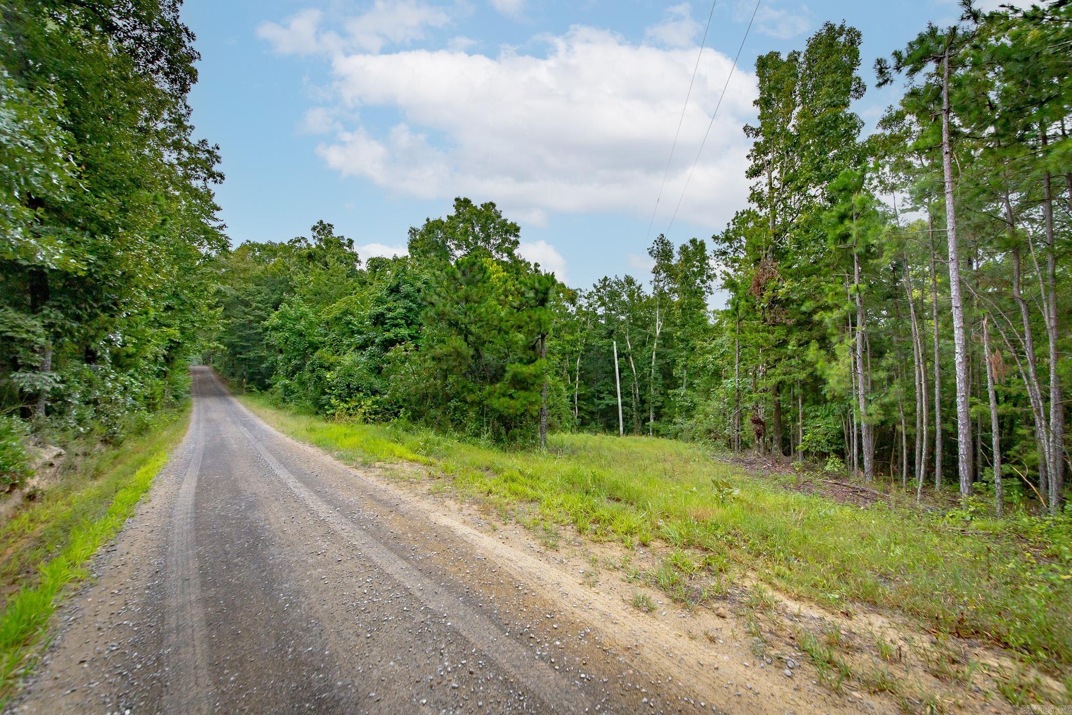 441 Holly Leaf  Bee Branch, AR