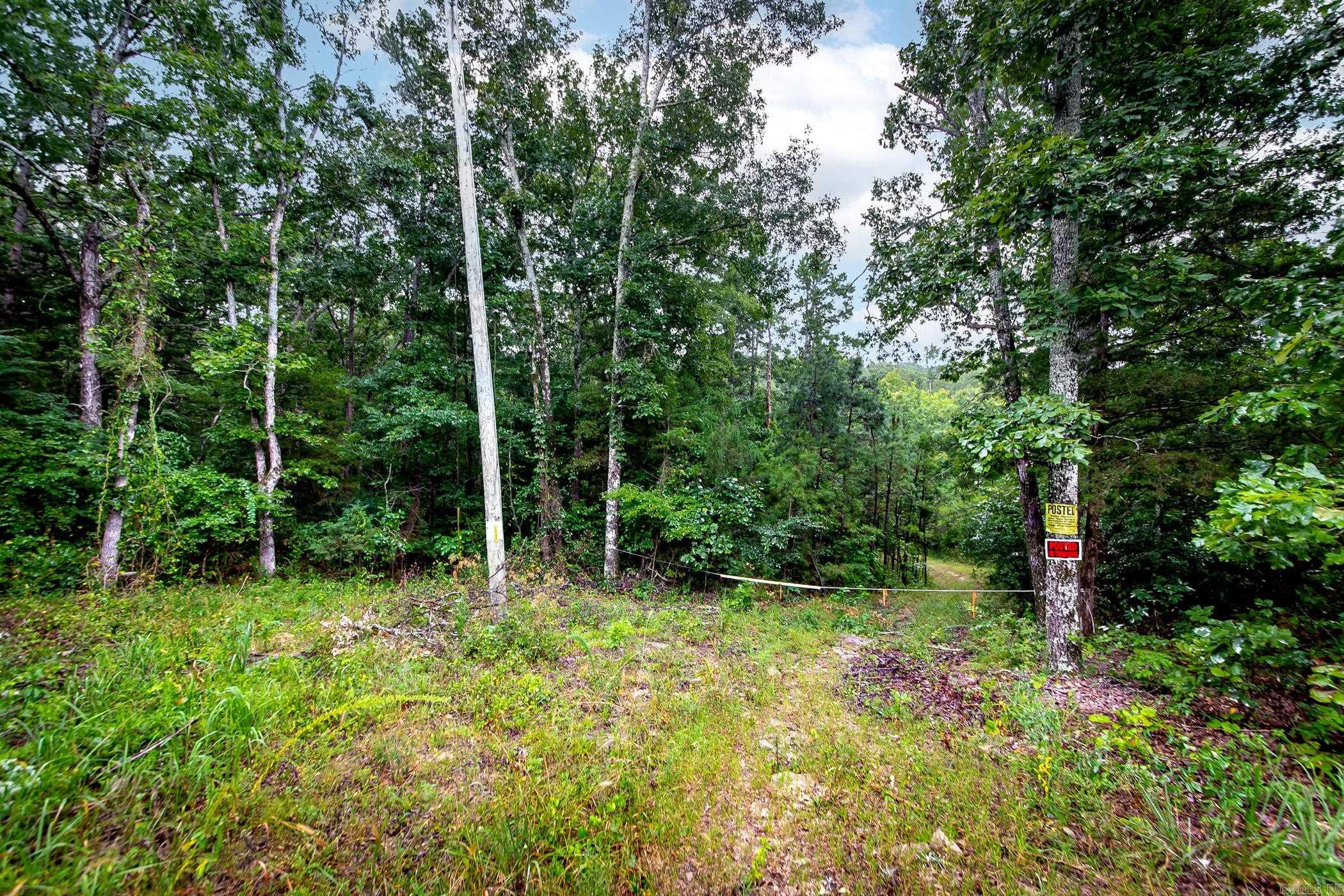 441 Holly Leaf  Bee Branch, AR