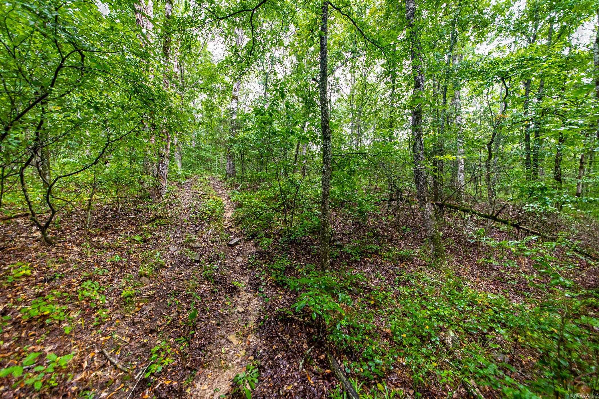 441 Holly Leaf  Bee Branch, AR