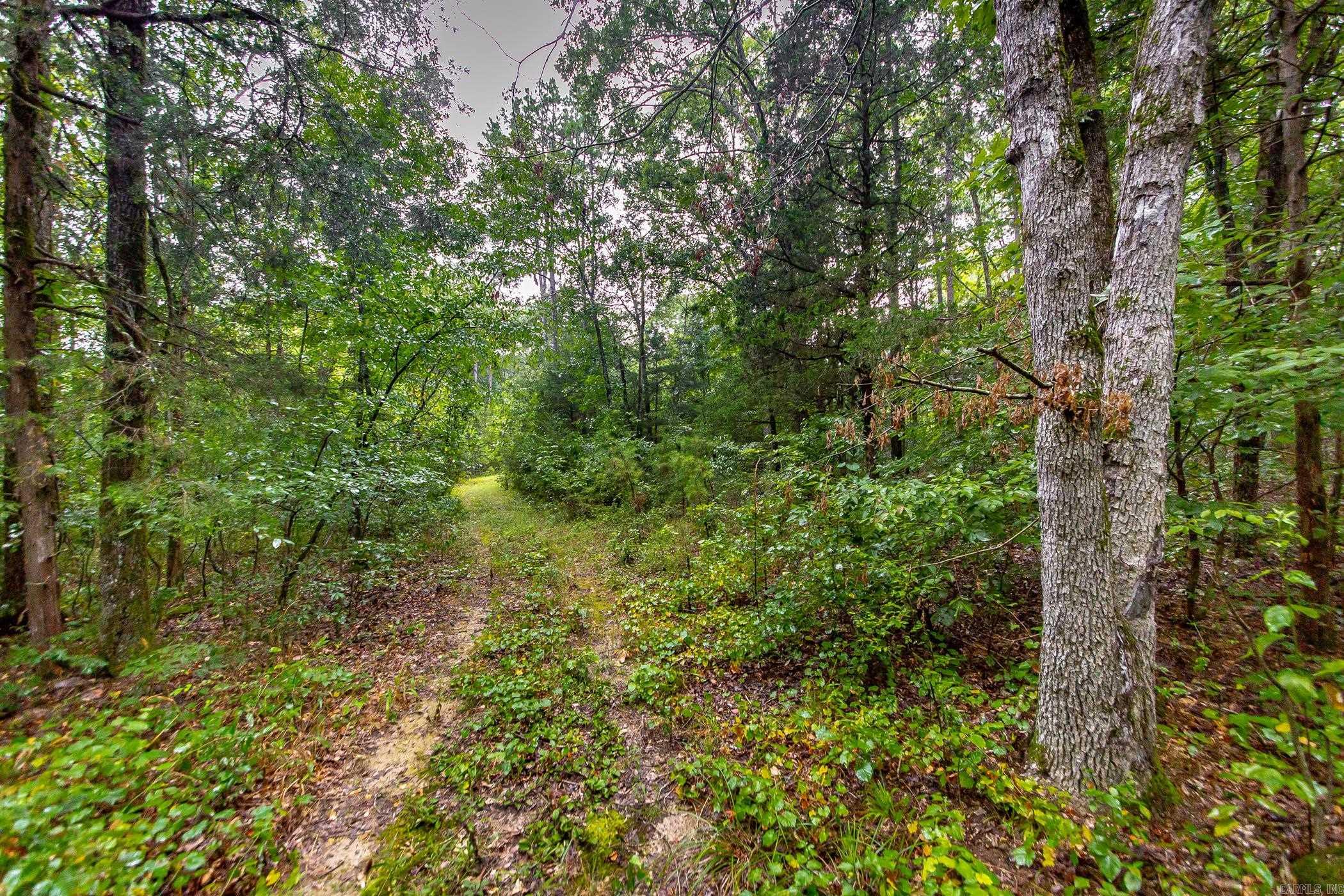 441 Holly Leaf  Bee Branch, AR