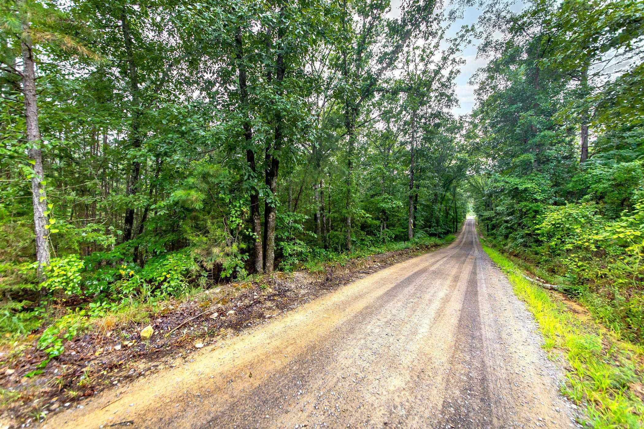 441 Holly Leaf  Bee Branch, AR