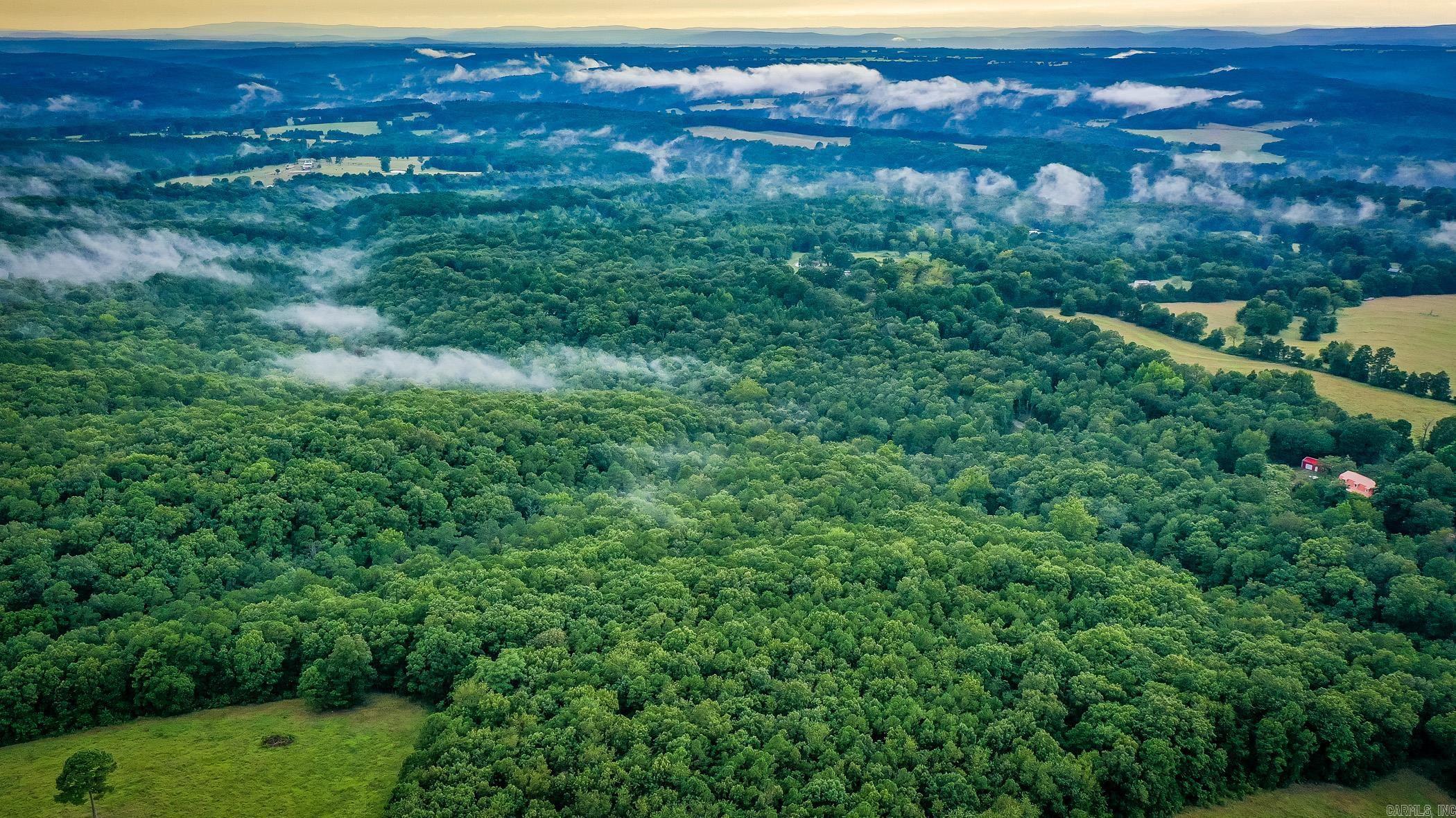 441 Holly Leaf  Bee Branch, AR