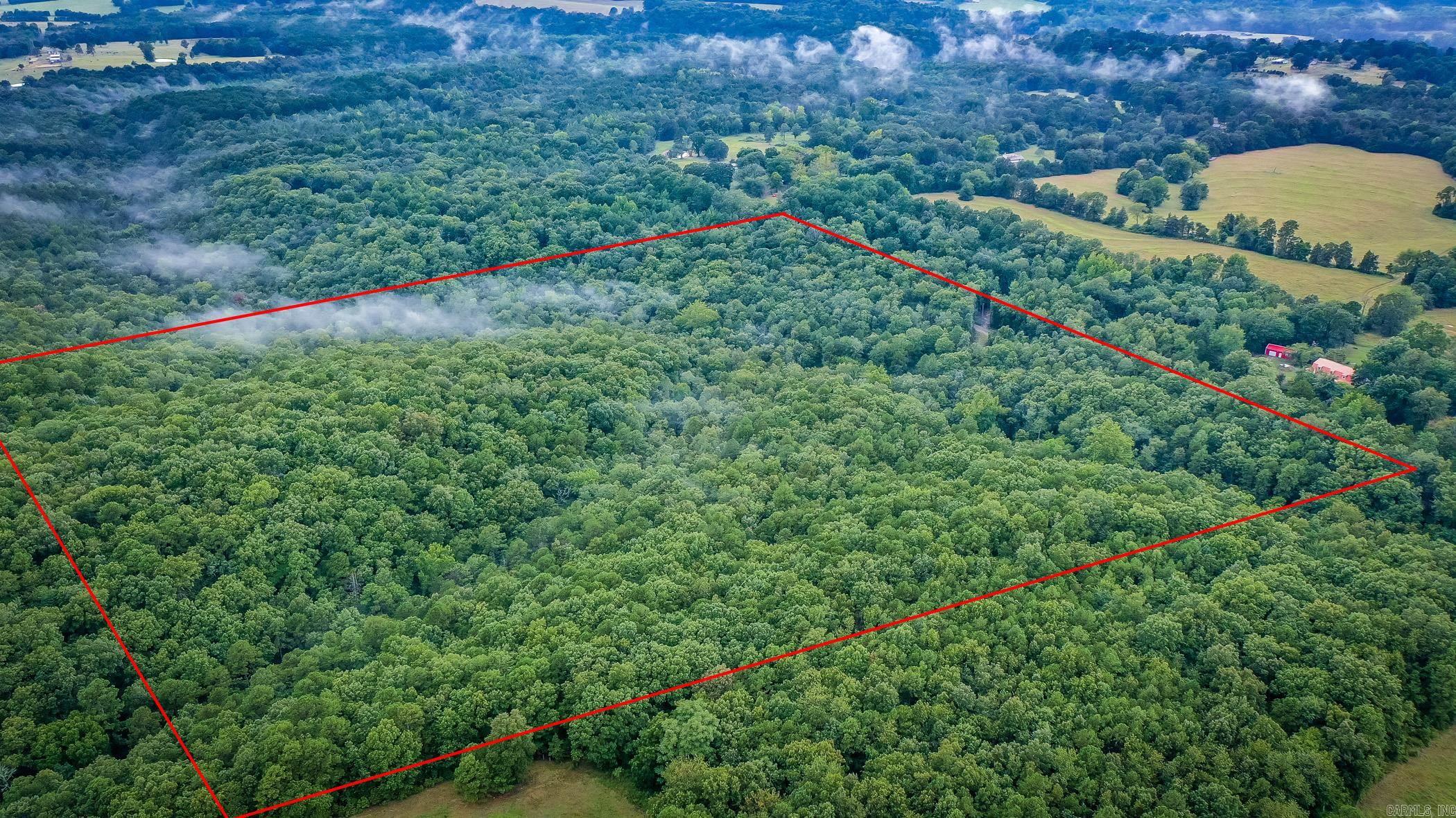 441 Holly Leaf  Bee Branch, AR
