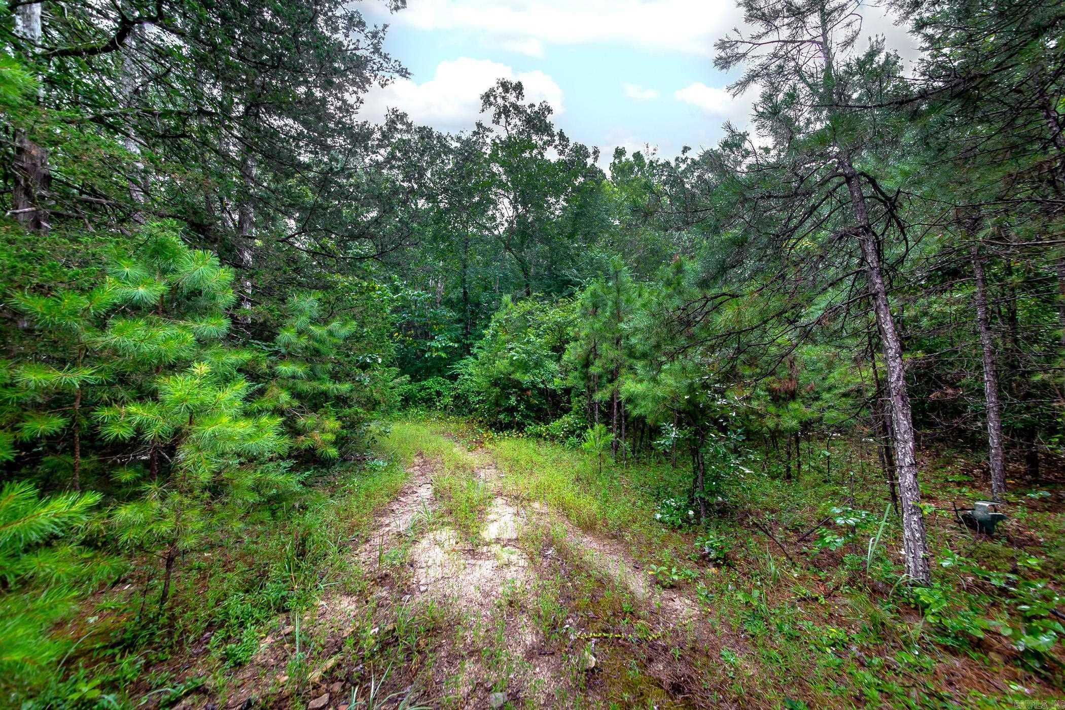 441 Holly Leaf  Bee Branch, AR