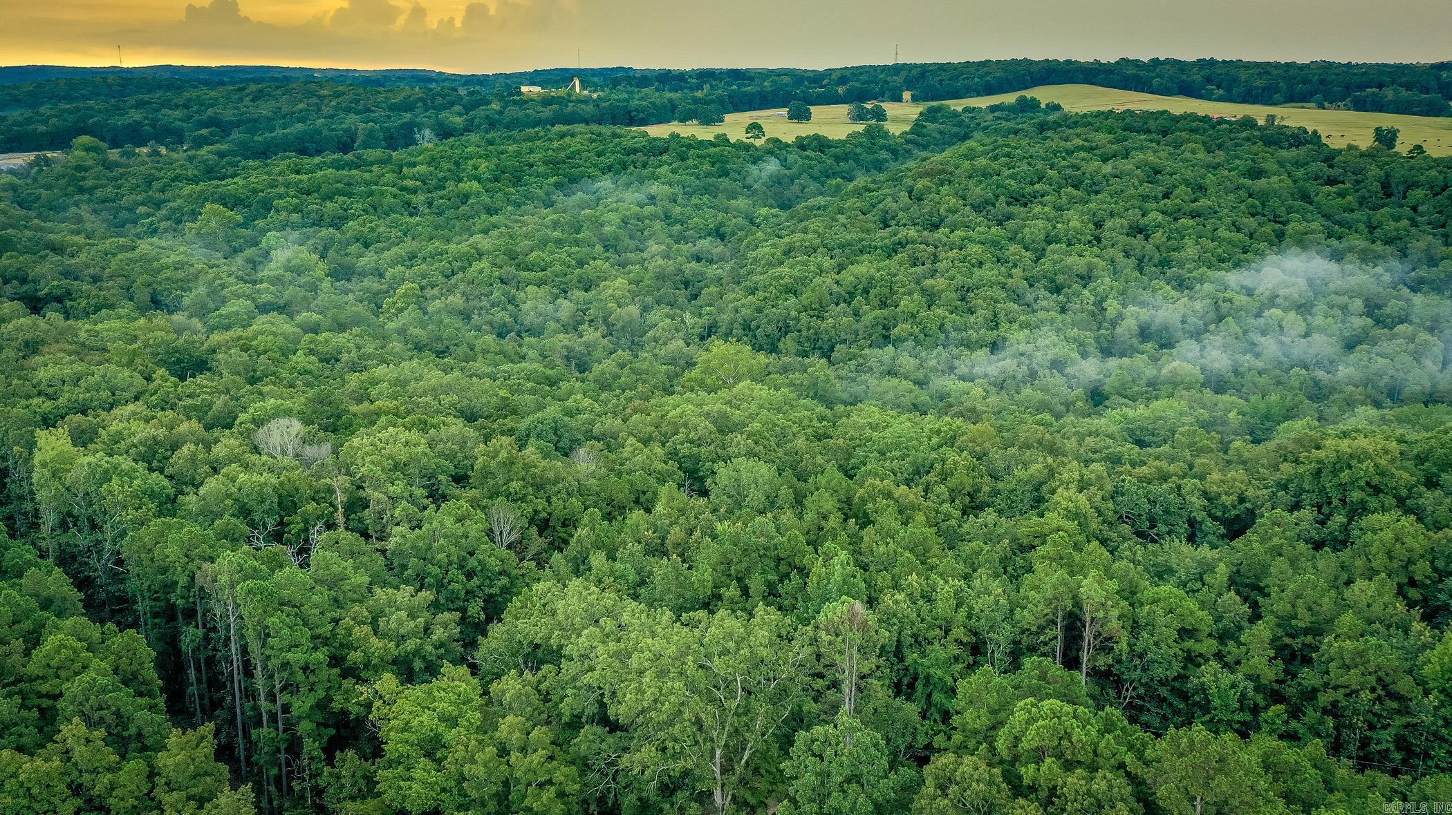 441 Holly Leaf  Bee Branch, AR