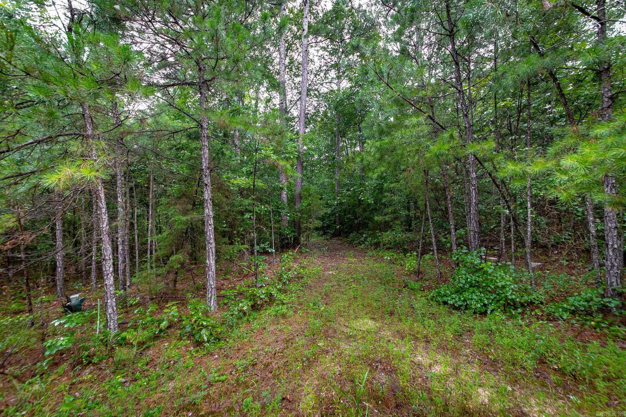 441 Holly Leaf  Bee Branch, AR