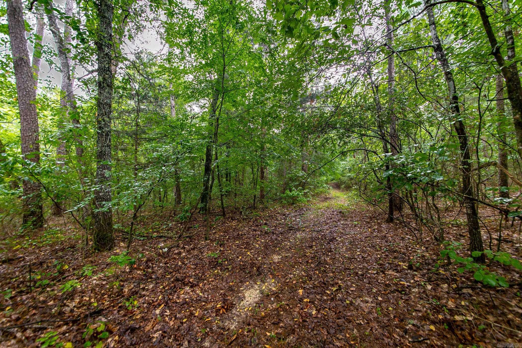 441 Holly Leaf  Bee Branch, AR