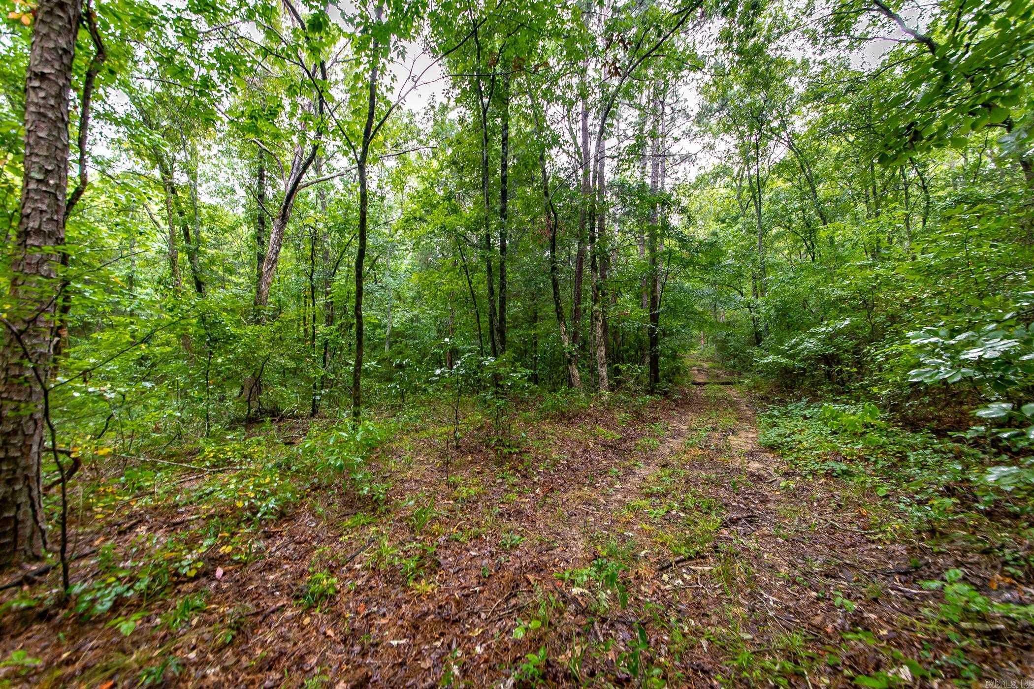 441 Holly Leaf  Bee Branch, AR