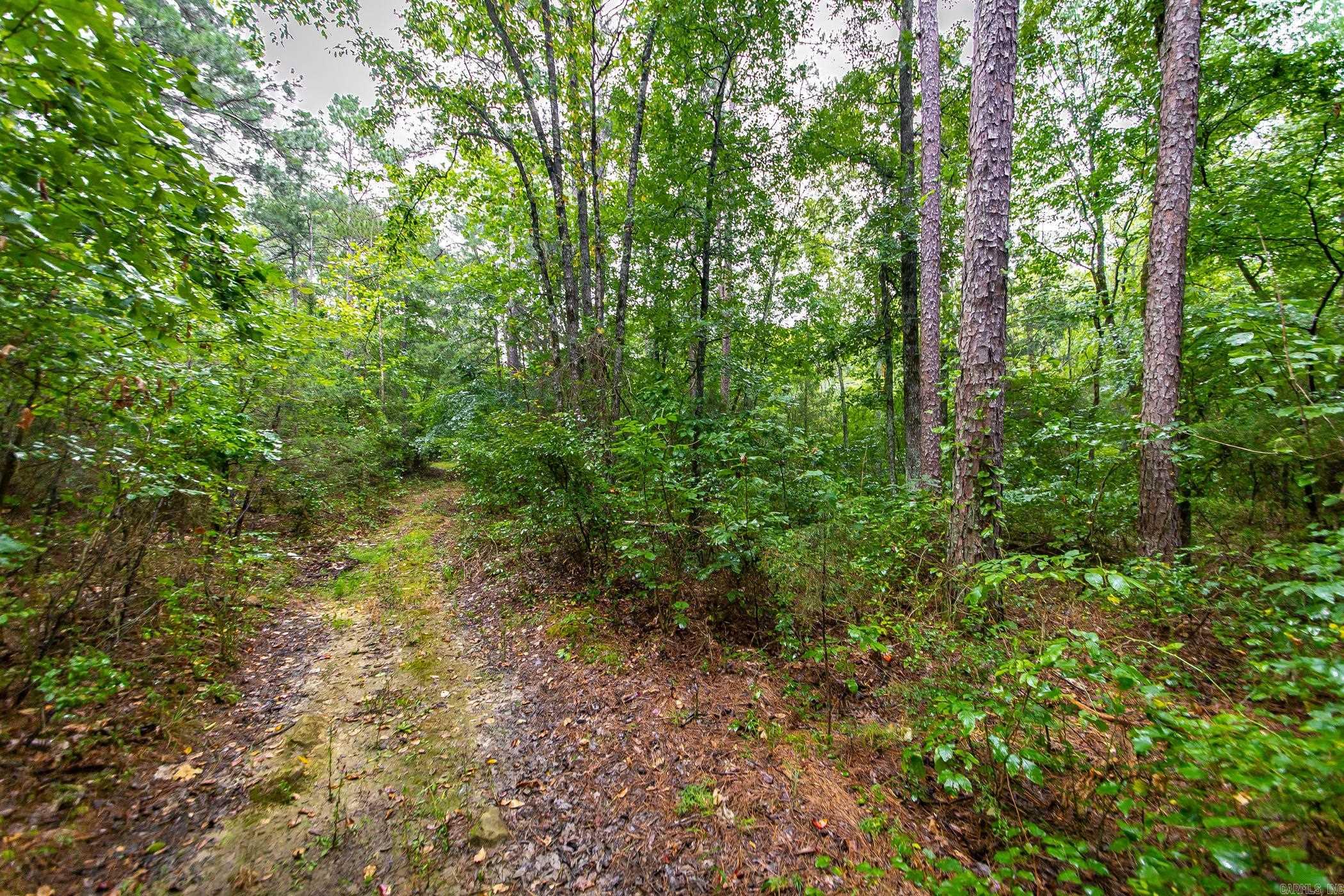 441 Holly Leaf  Bee Branch, AR