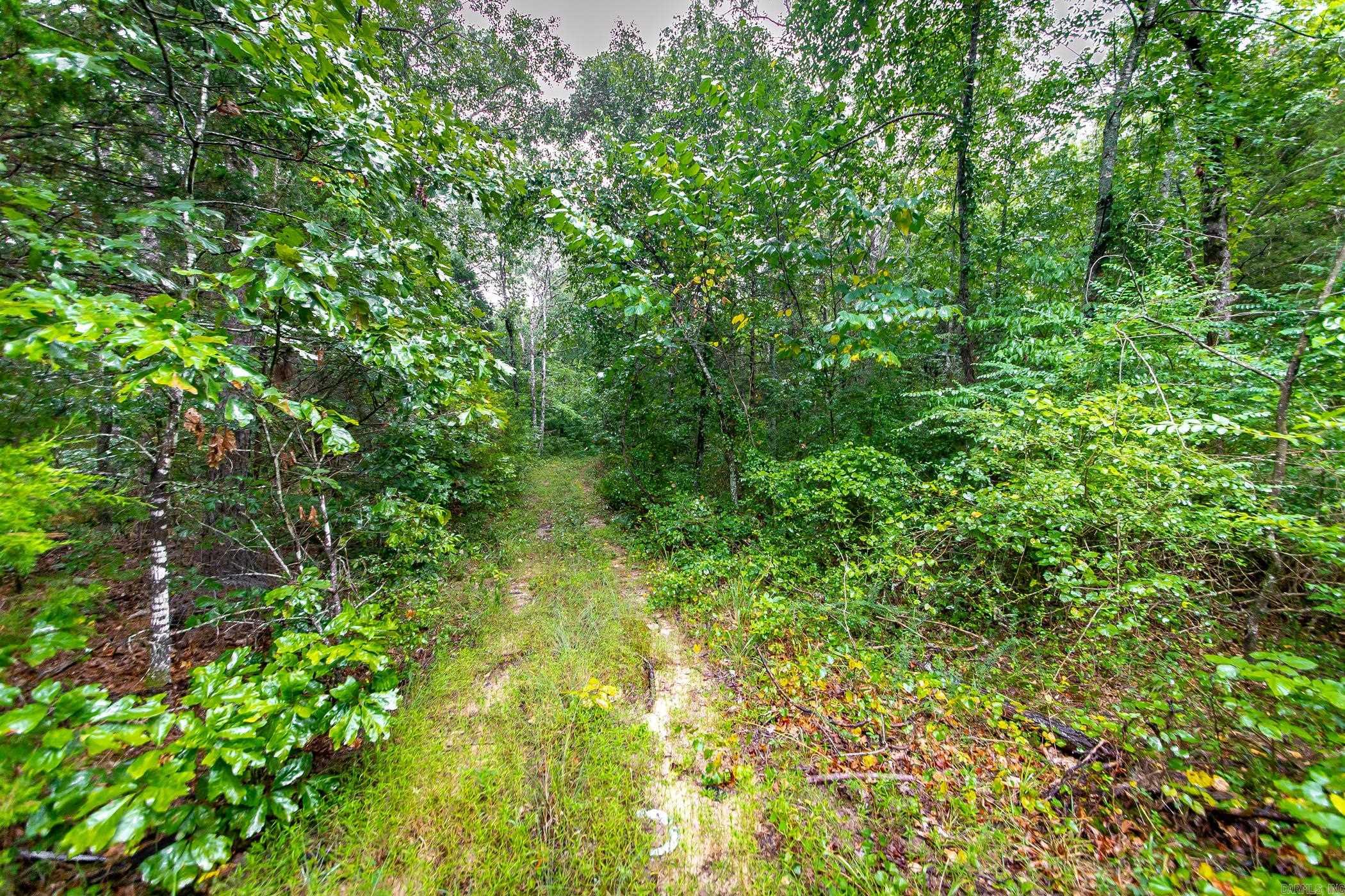 441 Holly Leaf  Bee Branch, AR