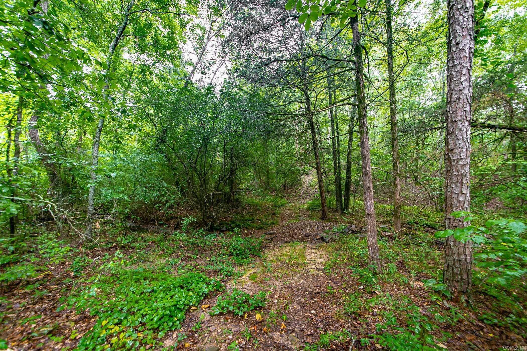 441 Holly Leaf  Bee Branch, AR