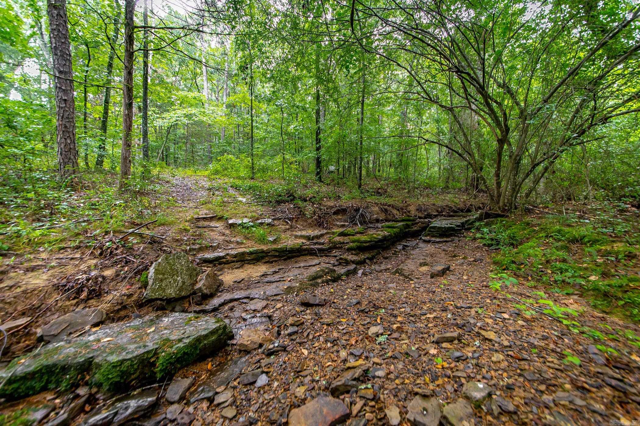 441 Holly Leaf  Bee Branch, AR