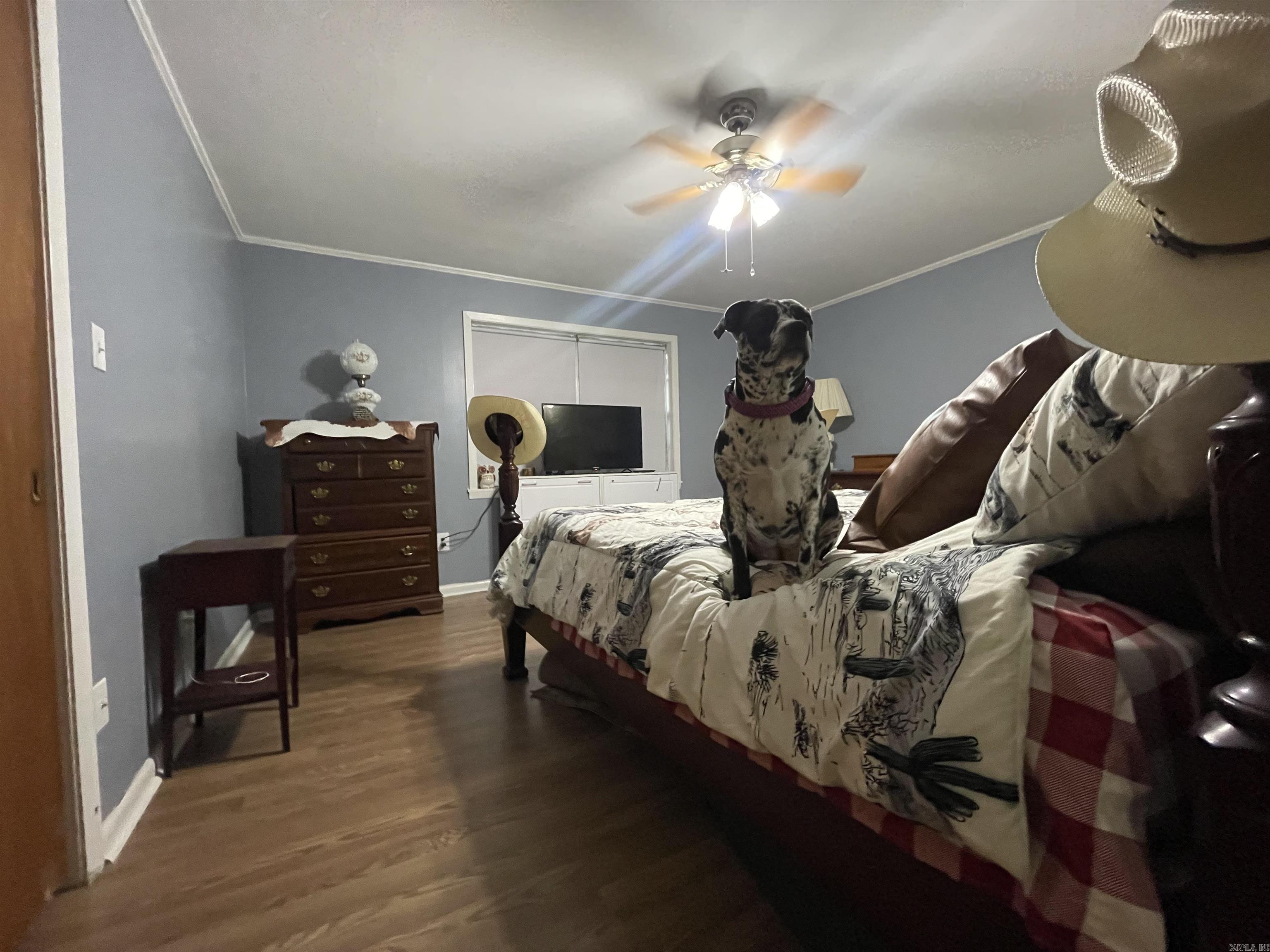 1516 Terrace Magnolia, AR 71753