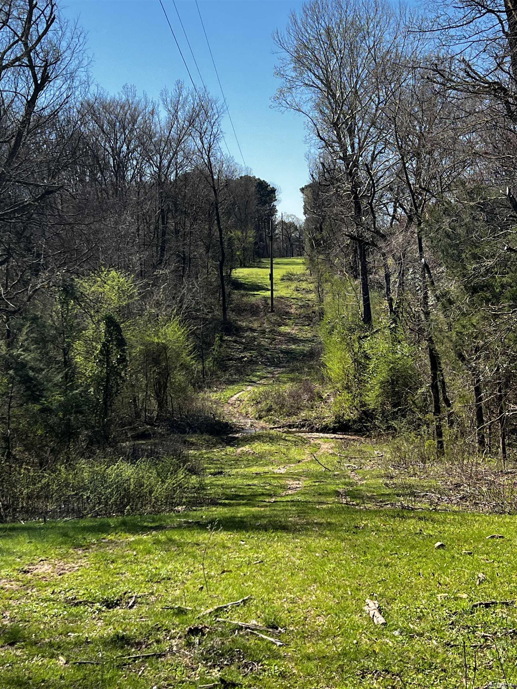 TBD Otter Slide  Horatio, AR