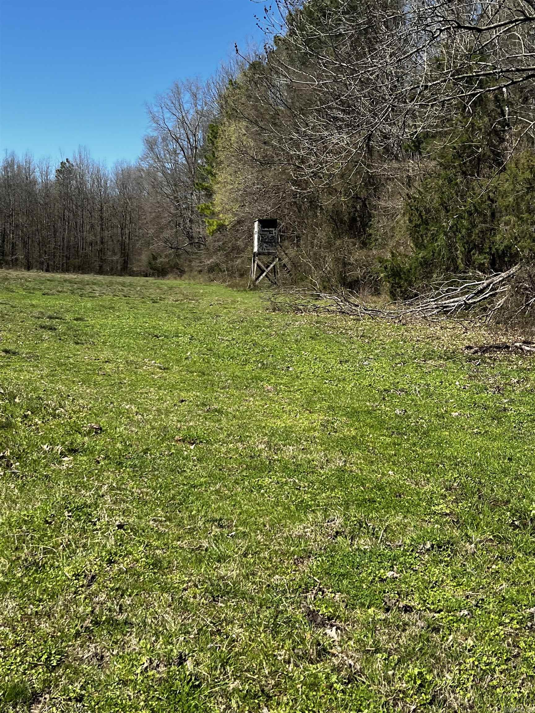 TBD Otter Slide  Horatio, AR