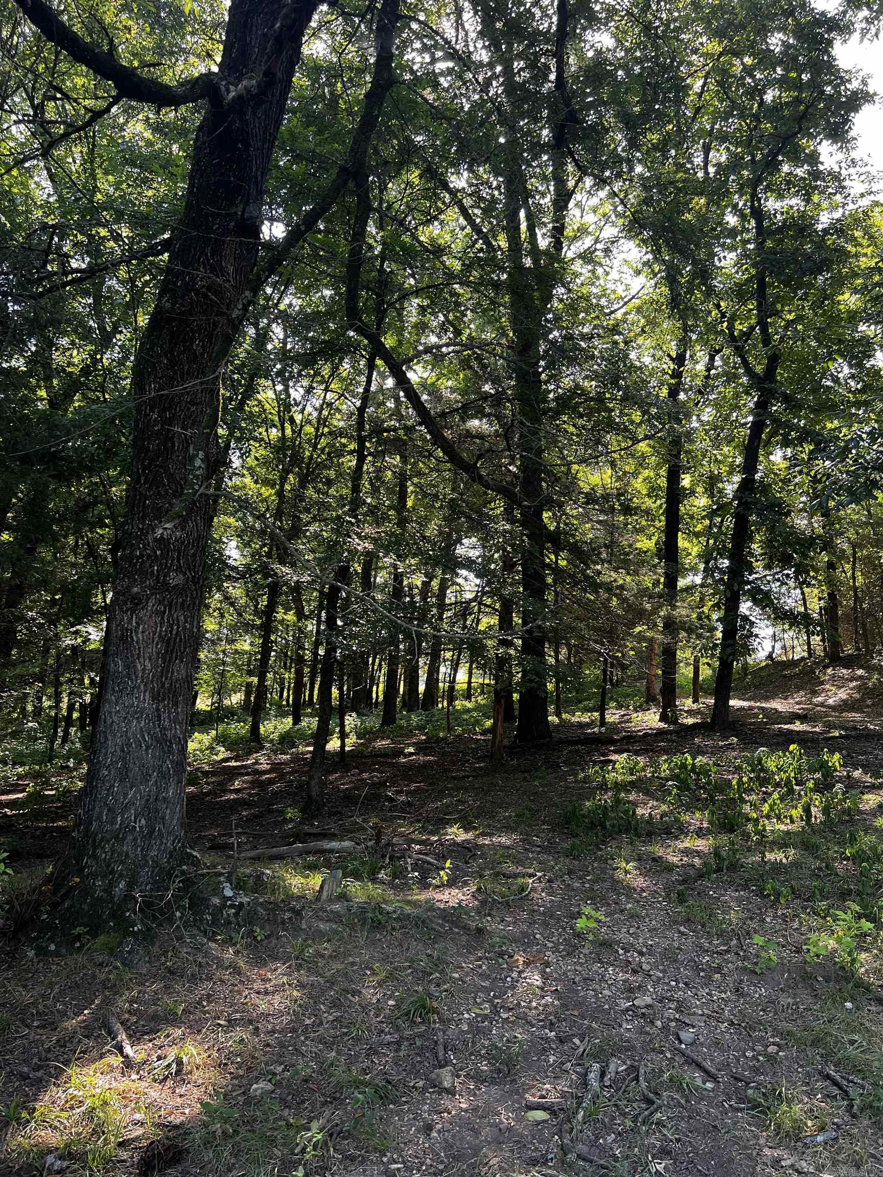 TBD Otter Slide  Horatio, AR