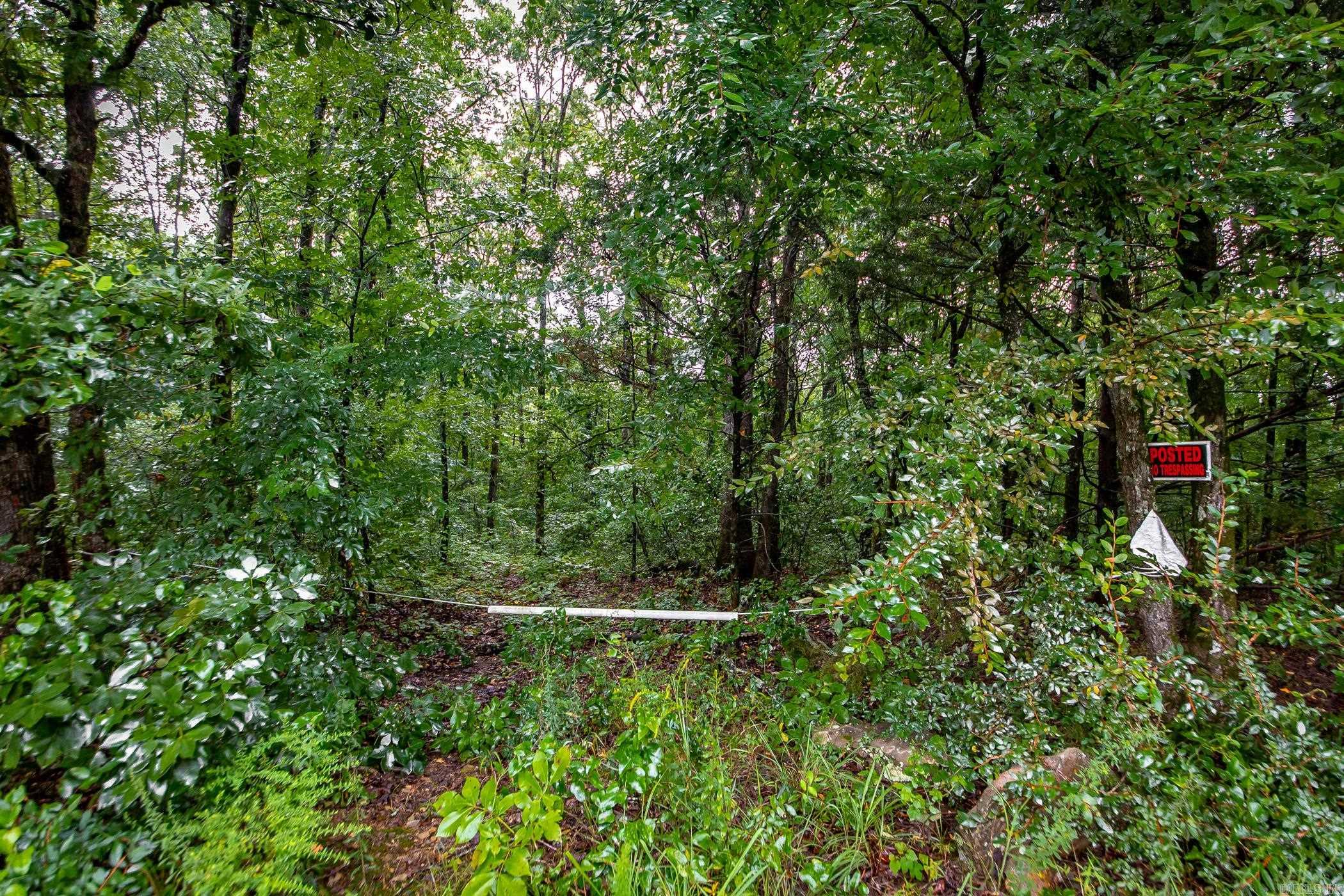 0 Round Spring  Clinton, AR