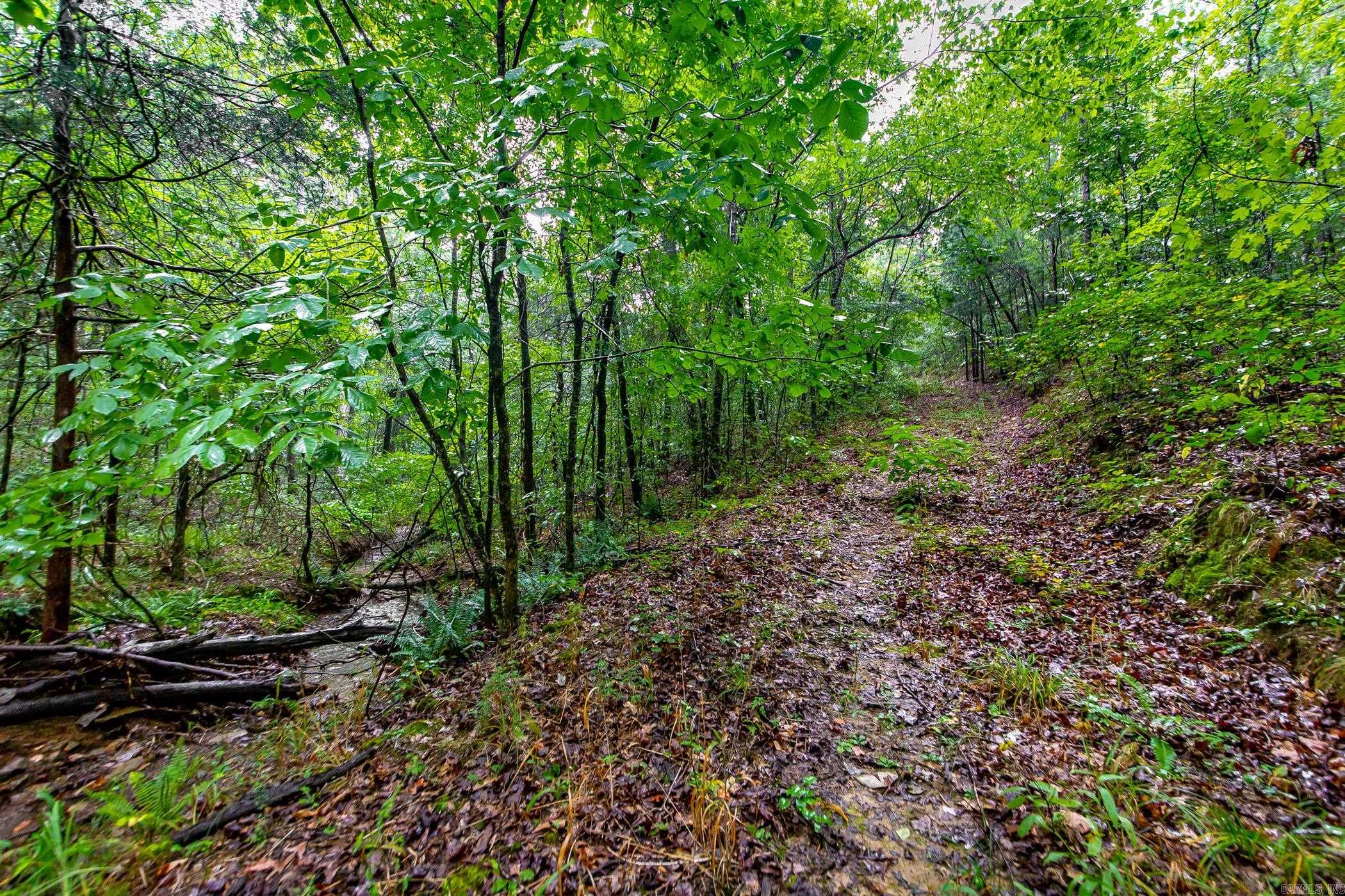 0 Round Spring  Clinton, AR