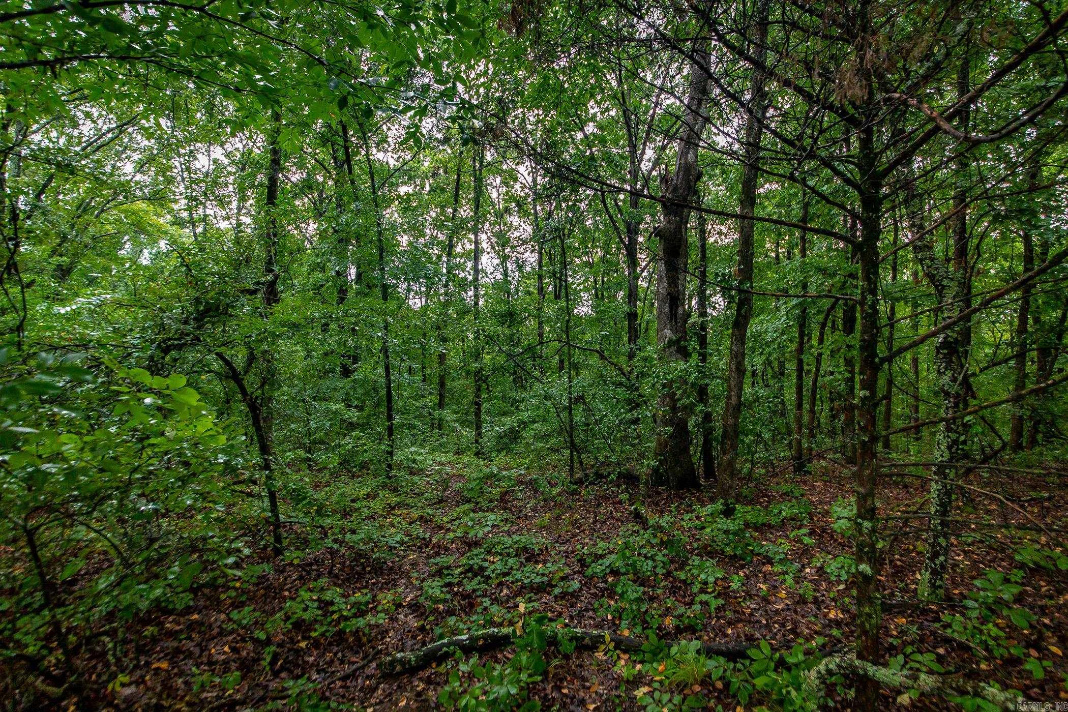 0 Round Spring  Clinton, AR